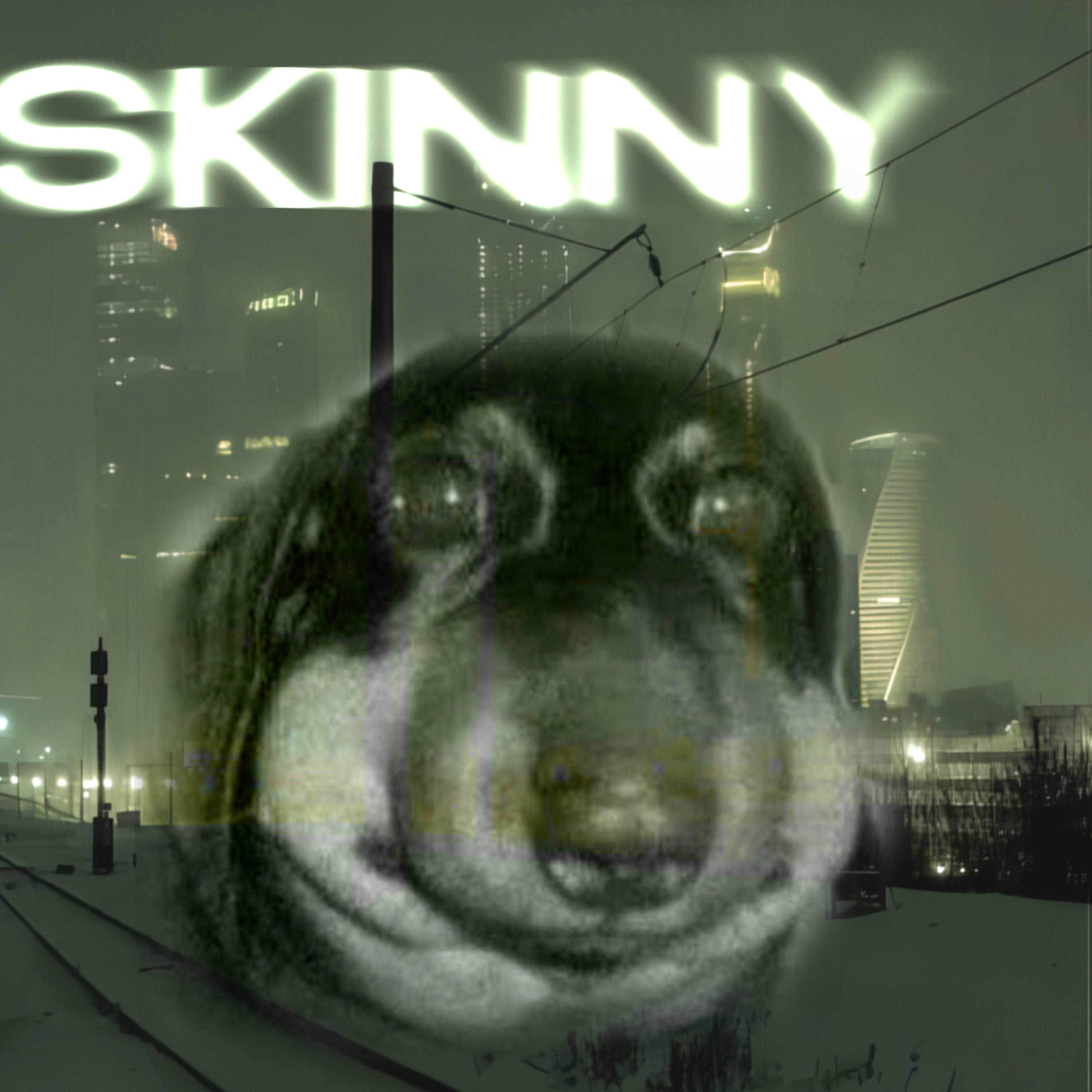 Постер альбома SKINNY
