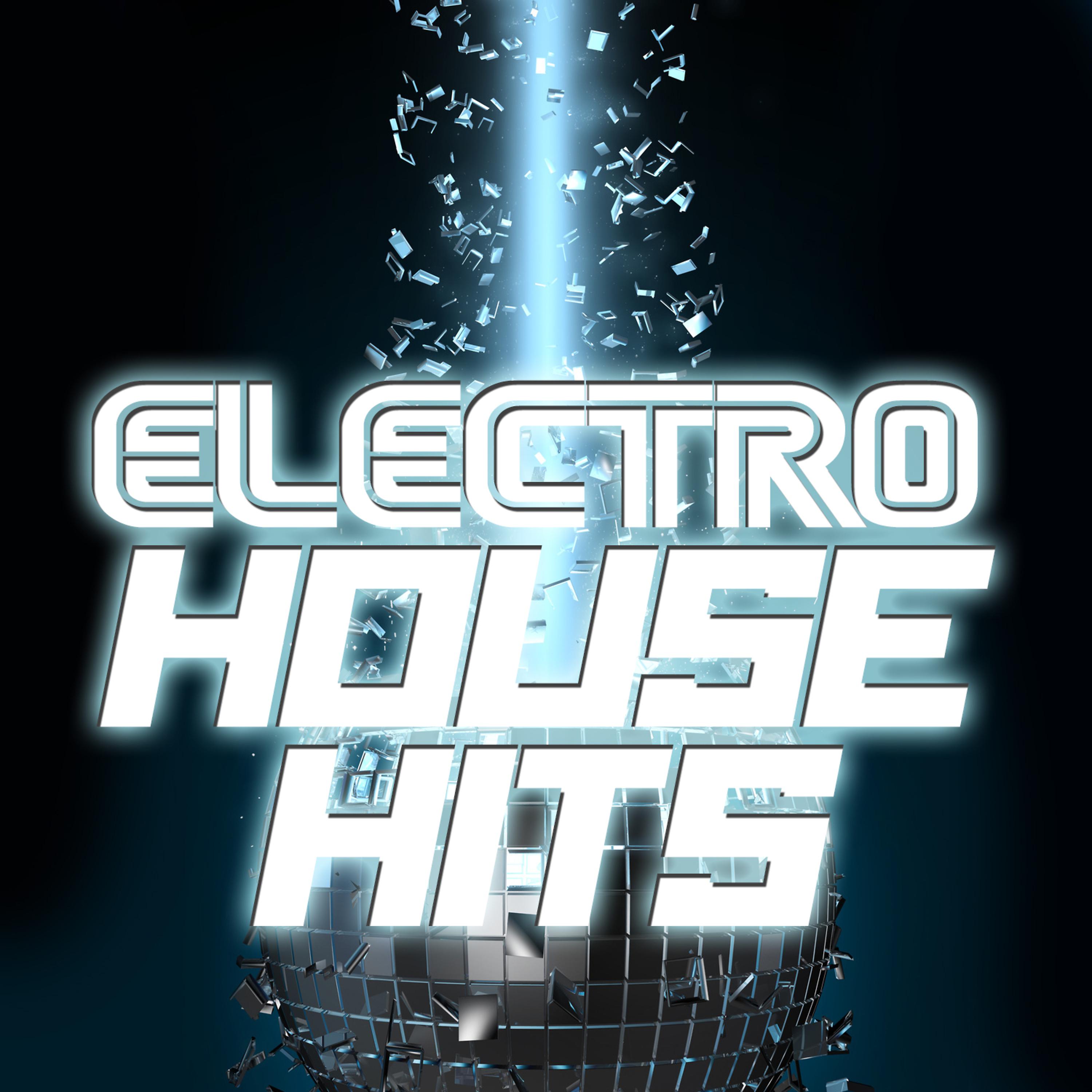Постер альбома Electro House Hits