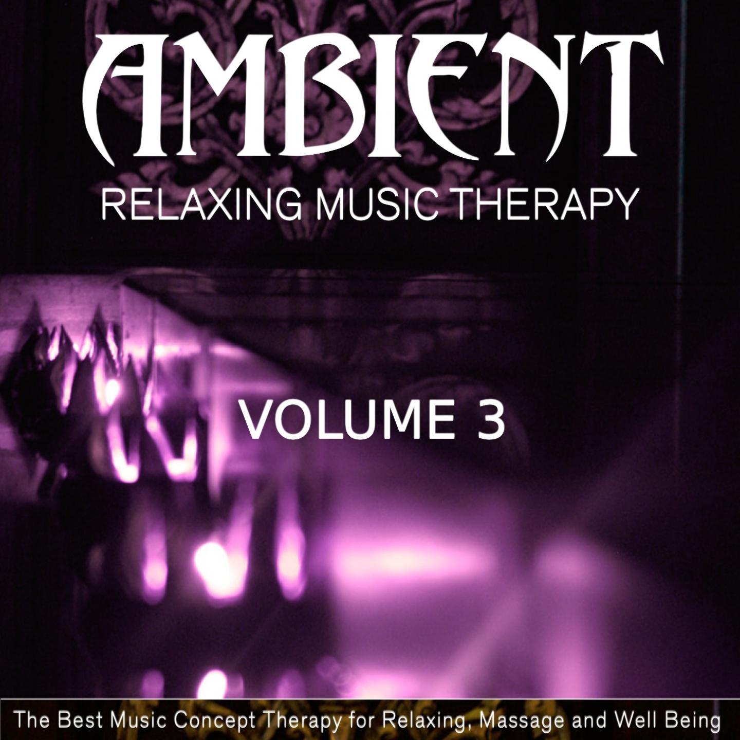 Постер альбома Ambient Relaxing Music Therapy, Vol. 3