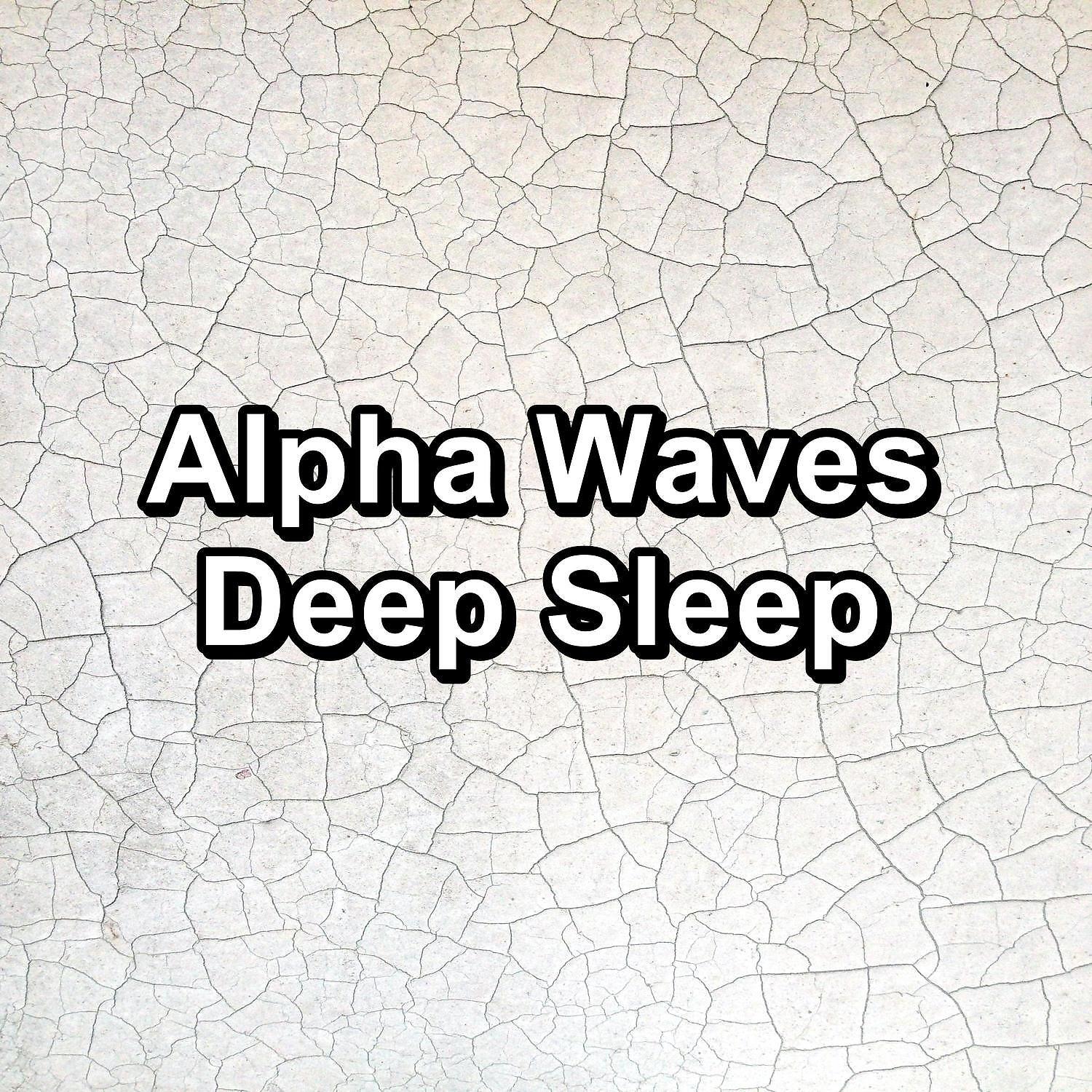 Постер альбома Alpha Waves Deep Sleep