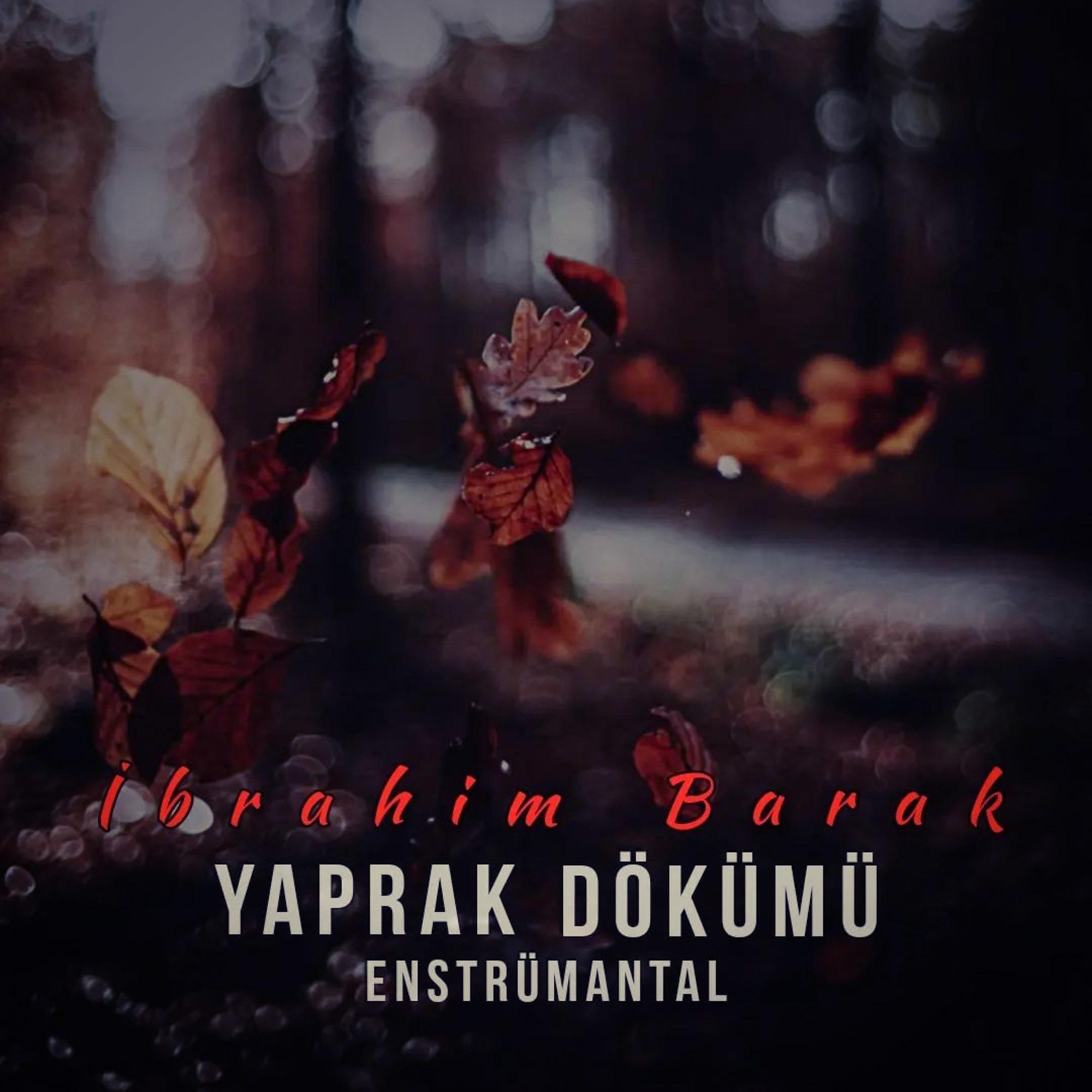 Постер альбома Yaprak Dökümü