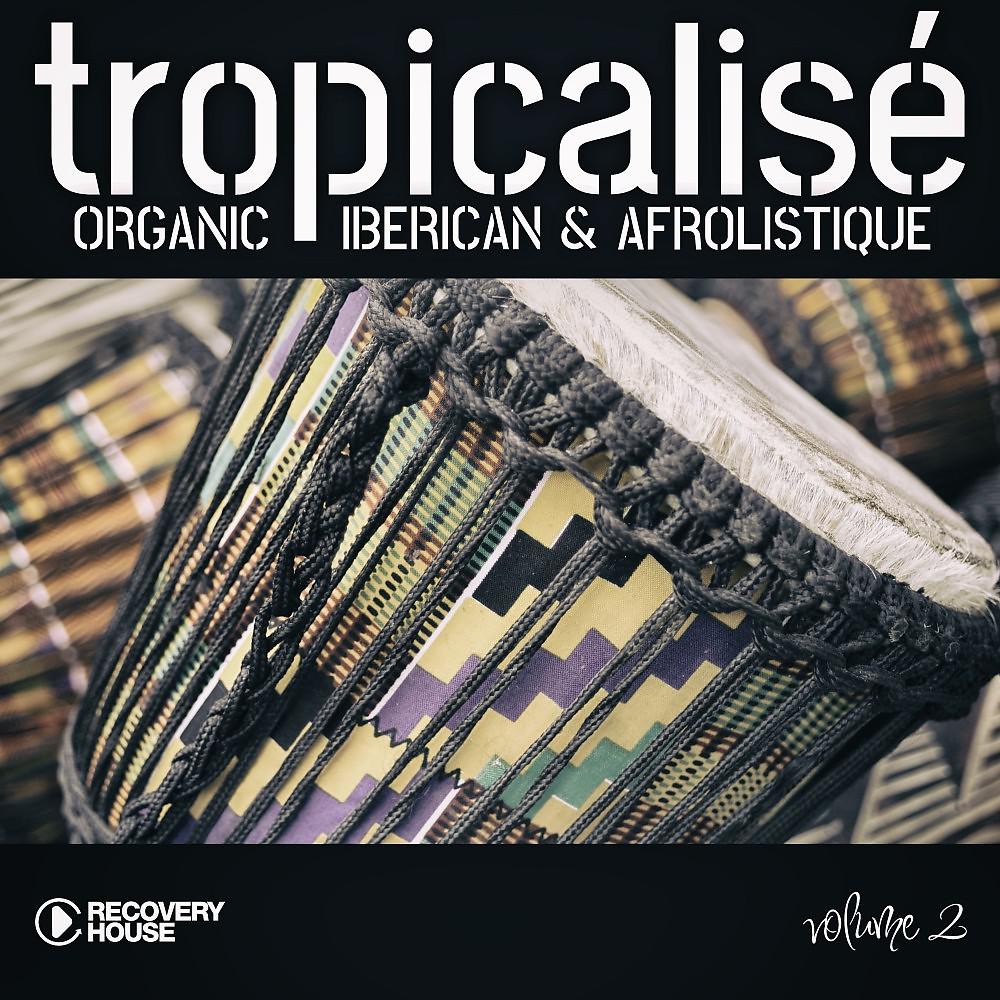Постер альбома Tropicalise, Vol. 2