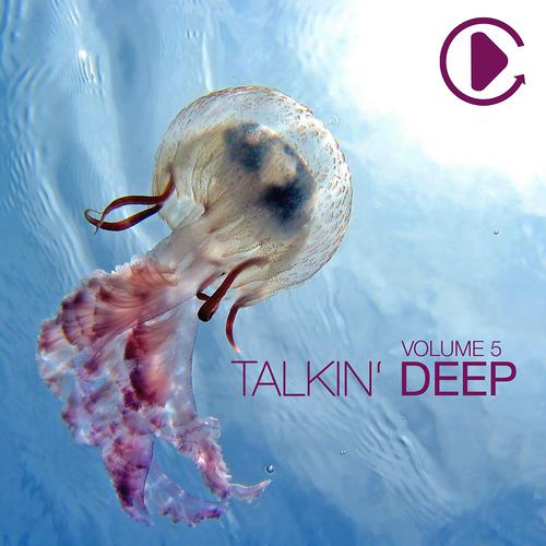 Постер альбома Talkin' Deep, Vol. 5