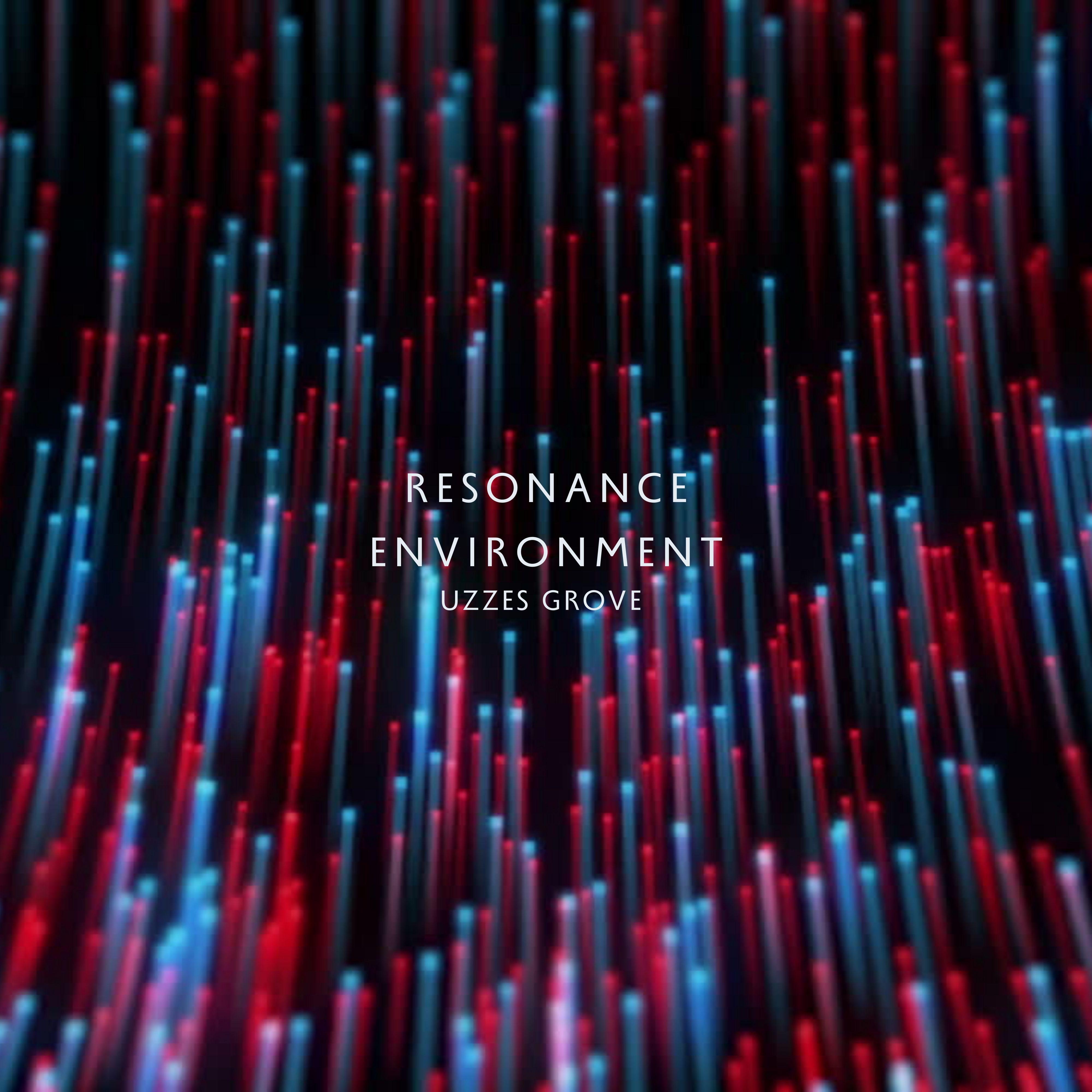 Постер альбома Resonance Environment