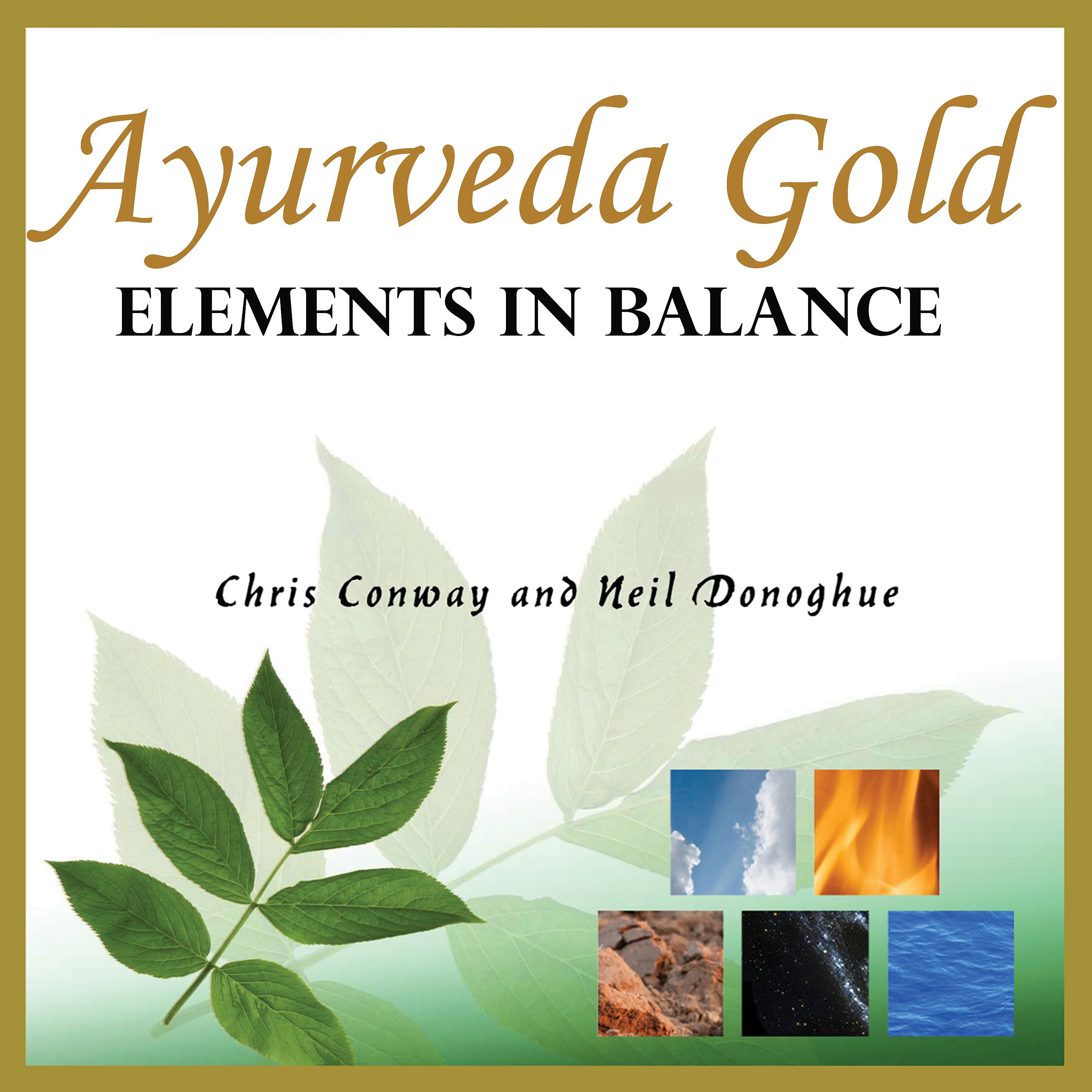 Постер альбома Ayurveda Gold - Elements in Balance