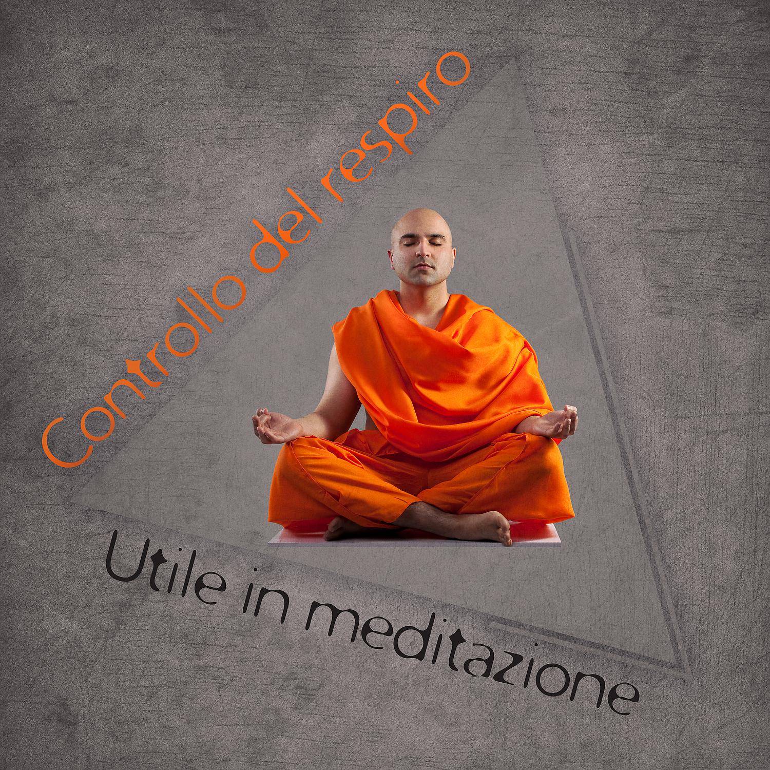 Постер альбома Controllo del respiro: Utile in meditazione - Musicoterapia zen, Tecniche di meditazione facili, Musica anti stress