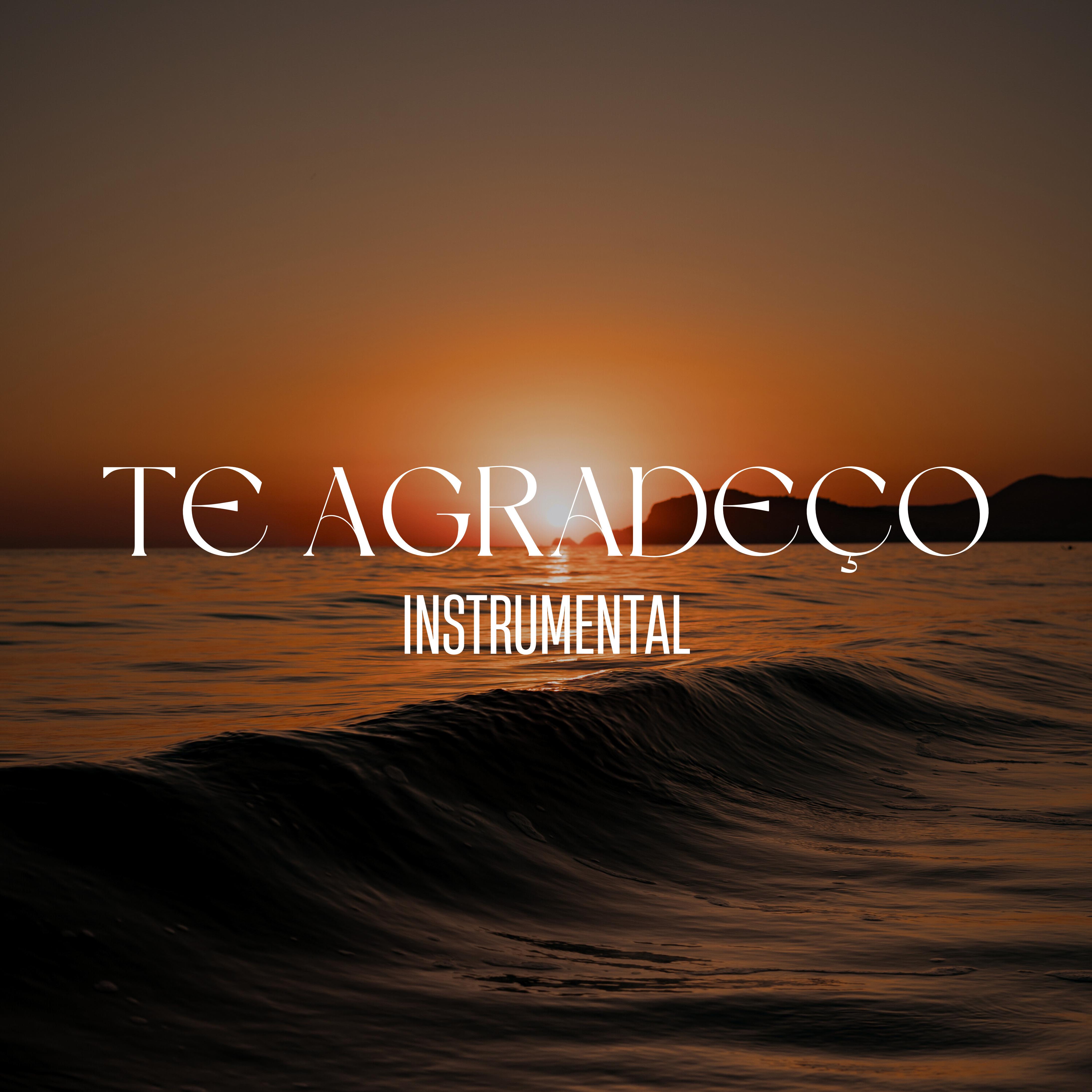 Постер альбома Te Agradeço