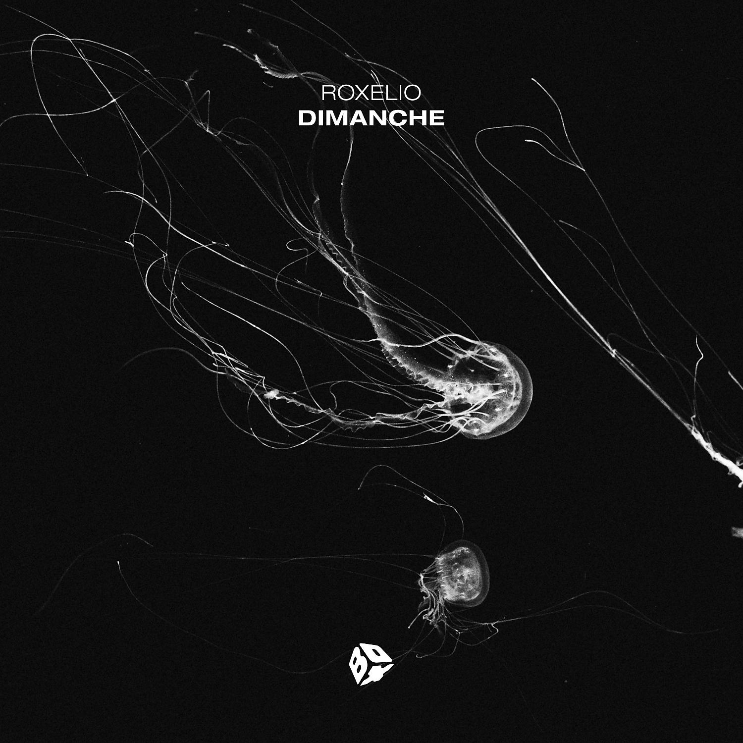 Постер альбома Dimanche