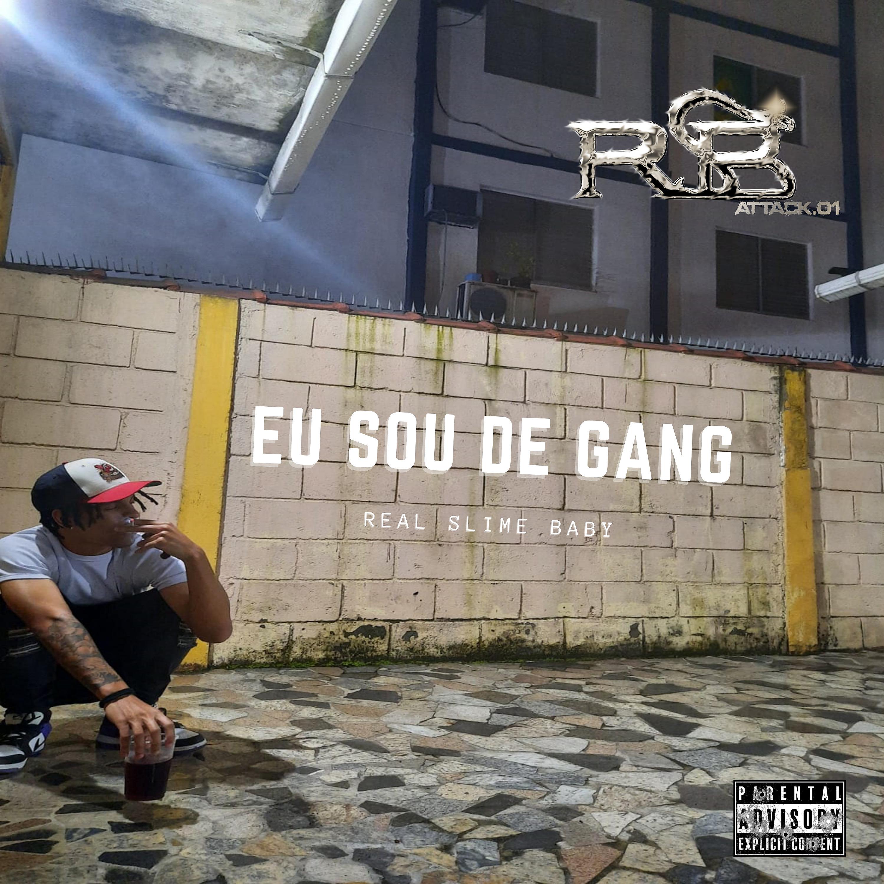 Постер альбома Eu Sou de Gang