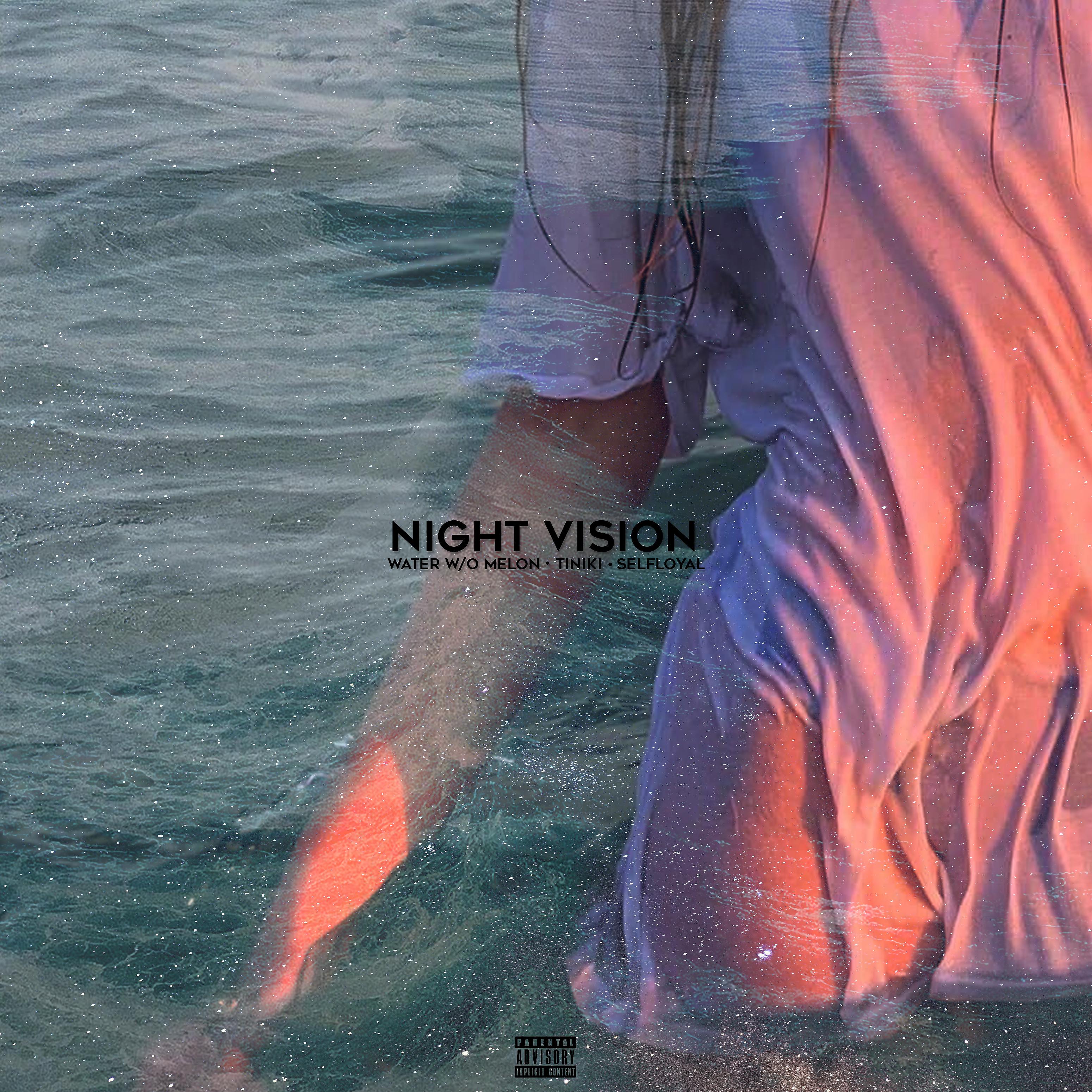 Постер альбома Night Vision (feat. Melon)