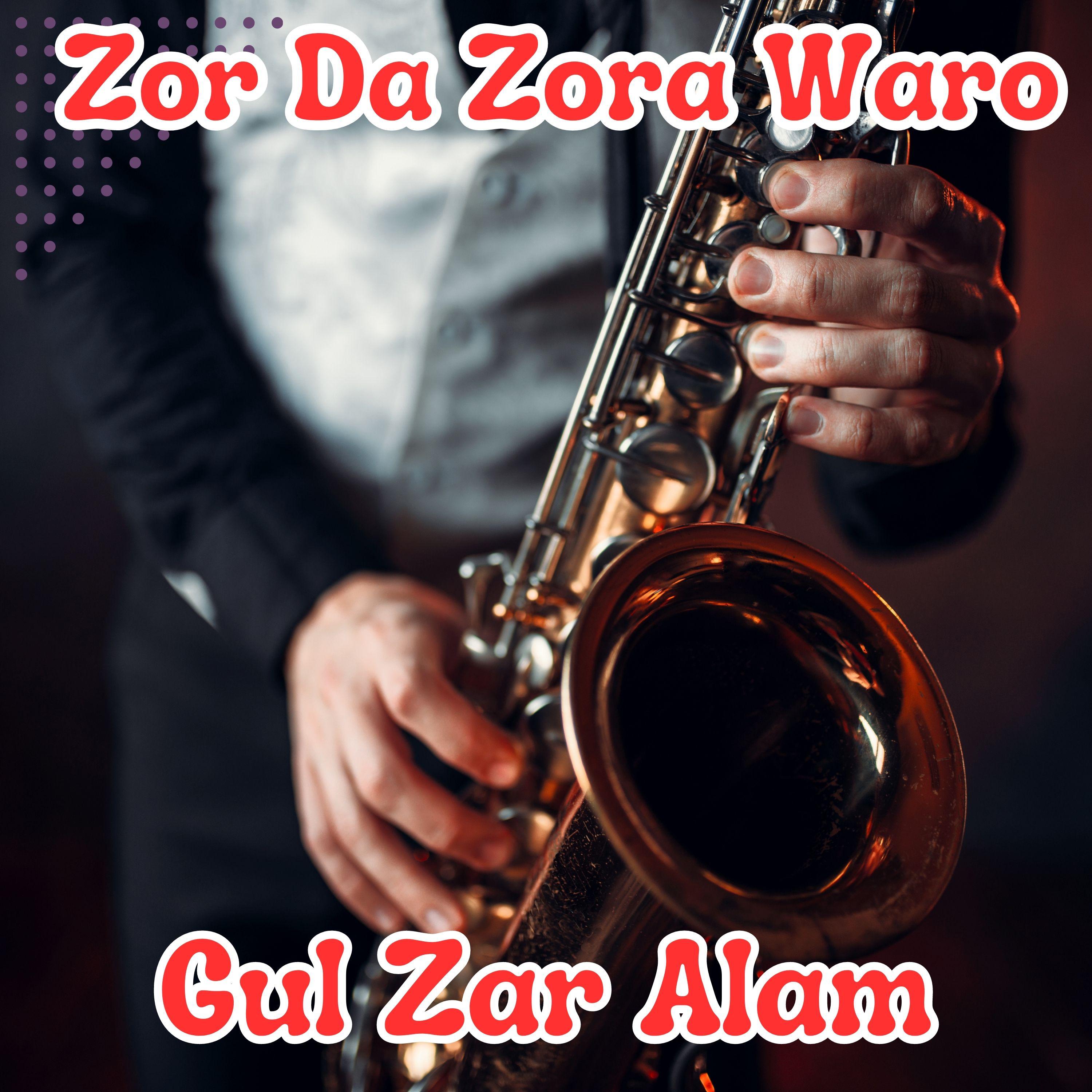 Постер альбома Zor Da Zora Waro