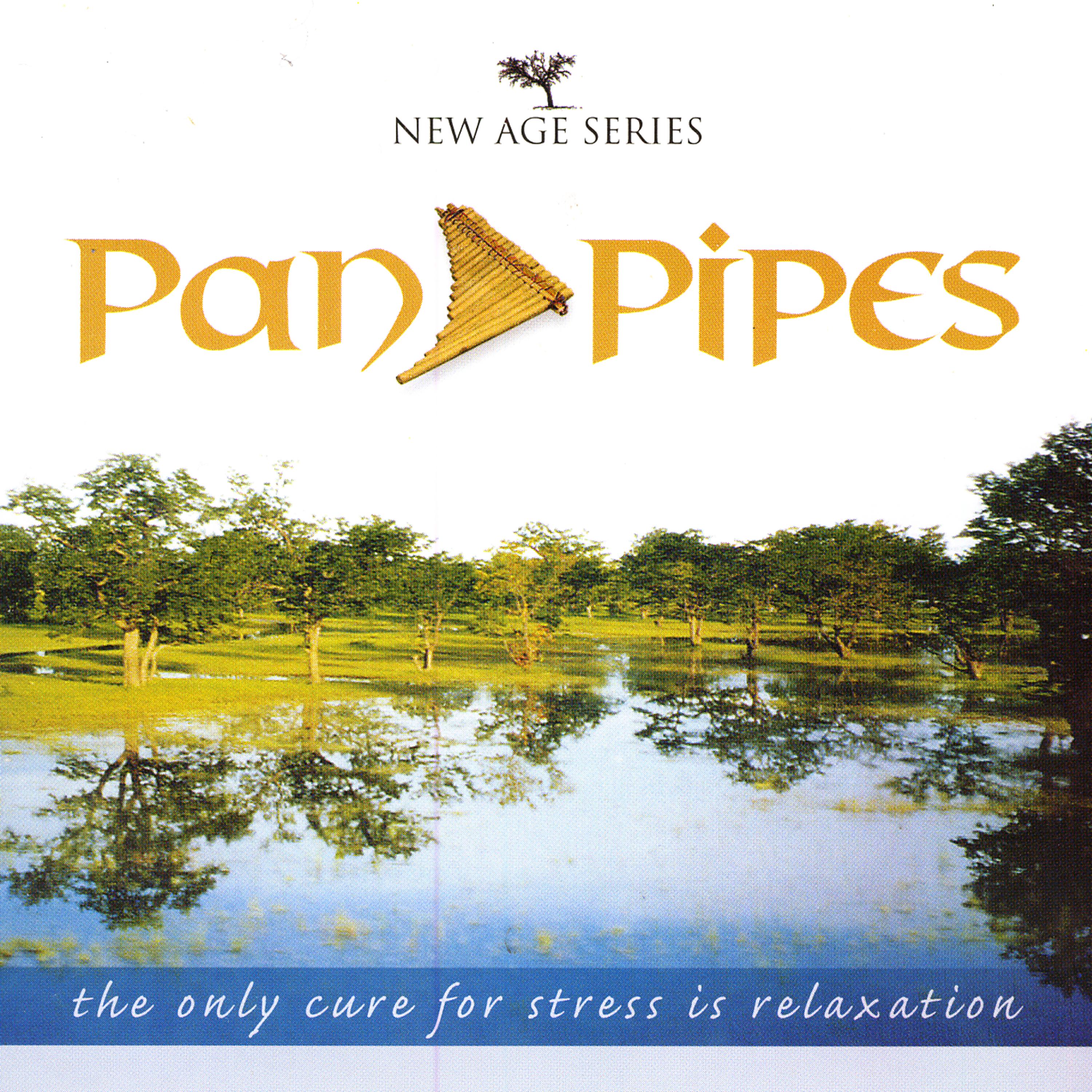 Постер альбома New Age Series - Pan Pipes