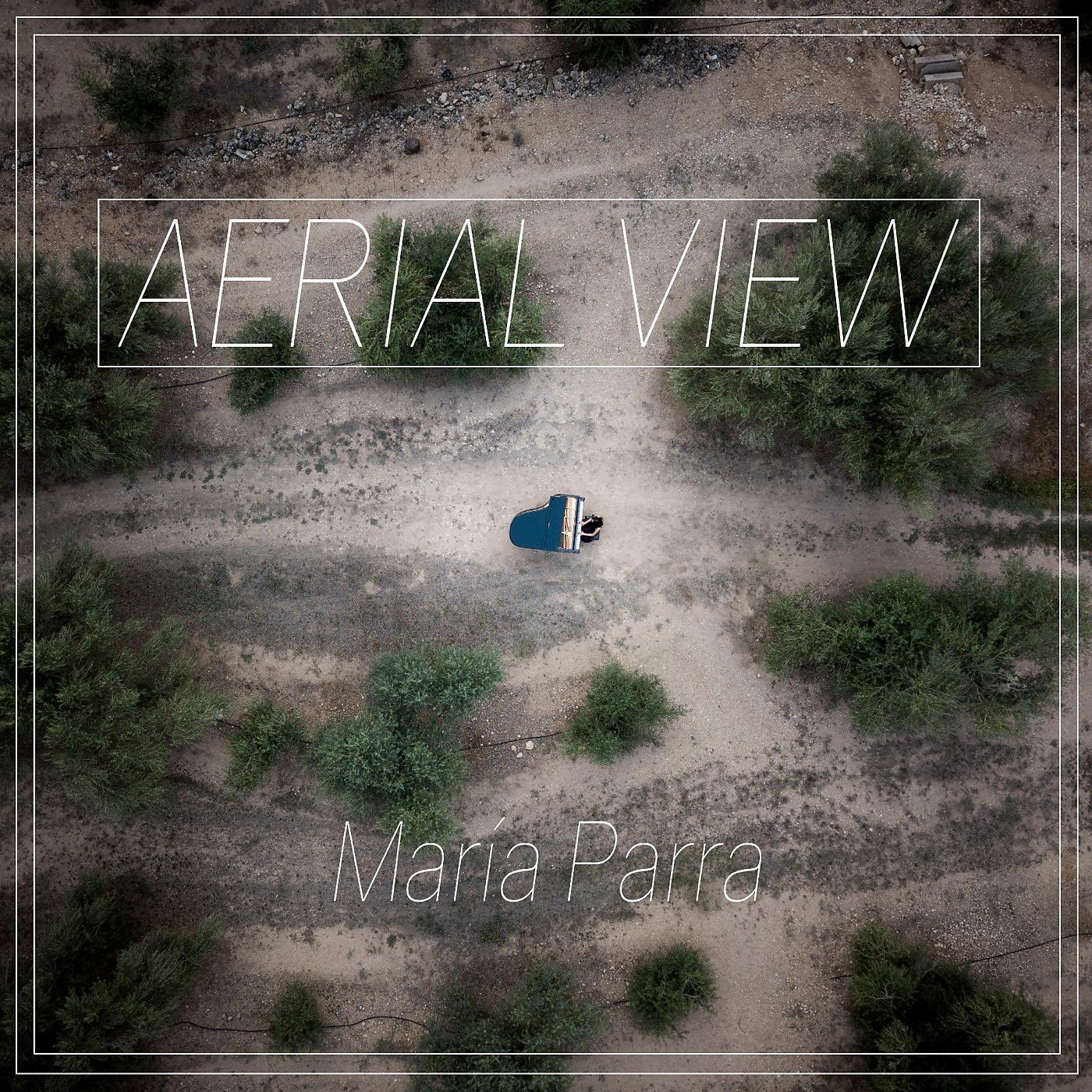 Постер альбома Aerial View (Suite Depth 1)