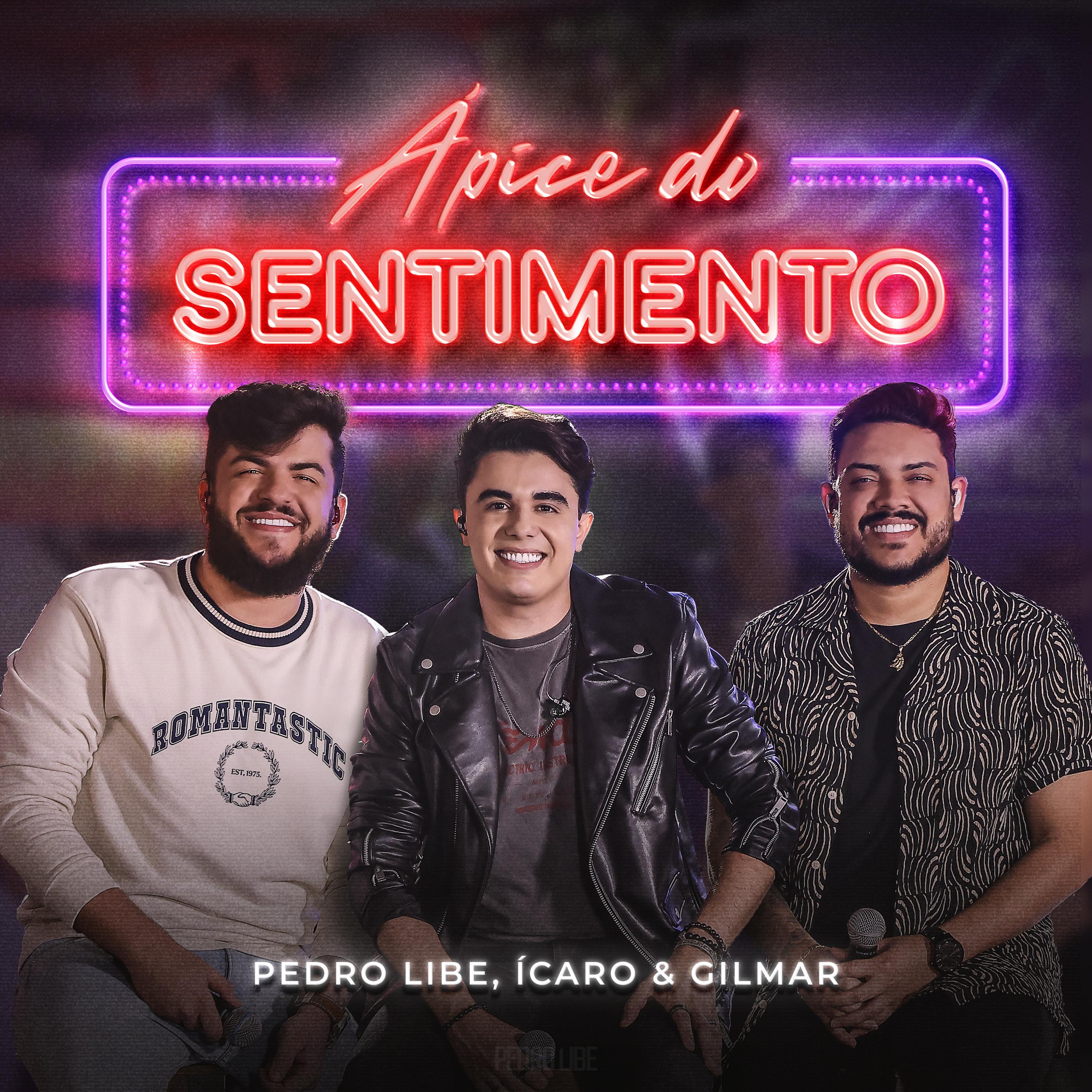 Постер альбома Ápice do Sentimento