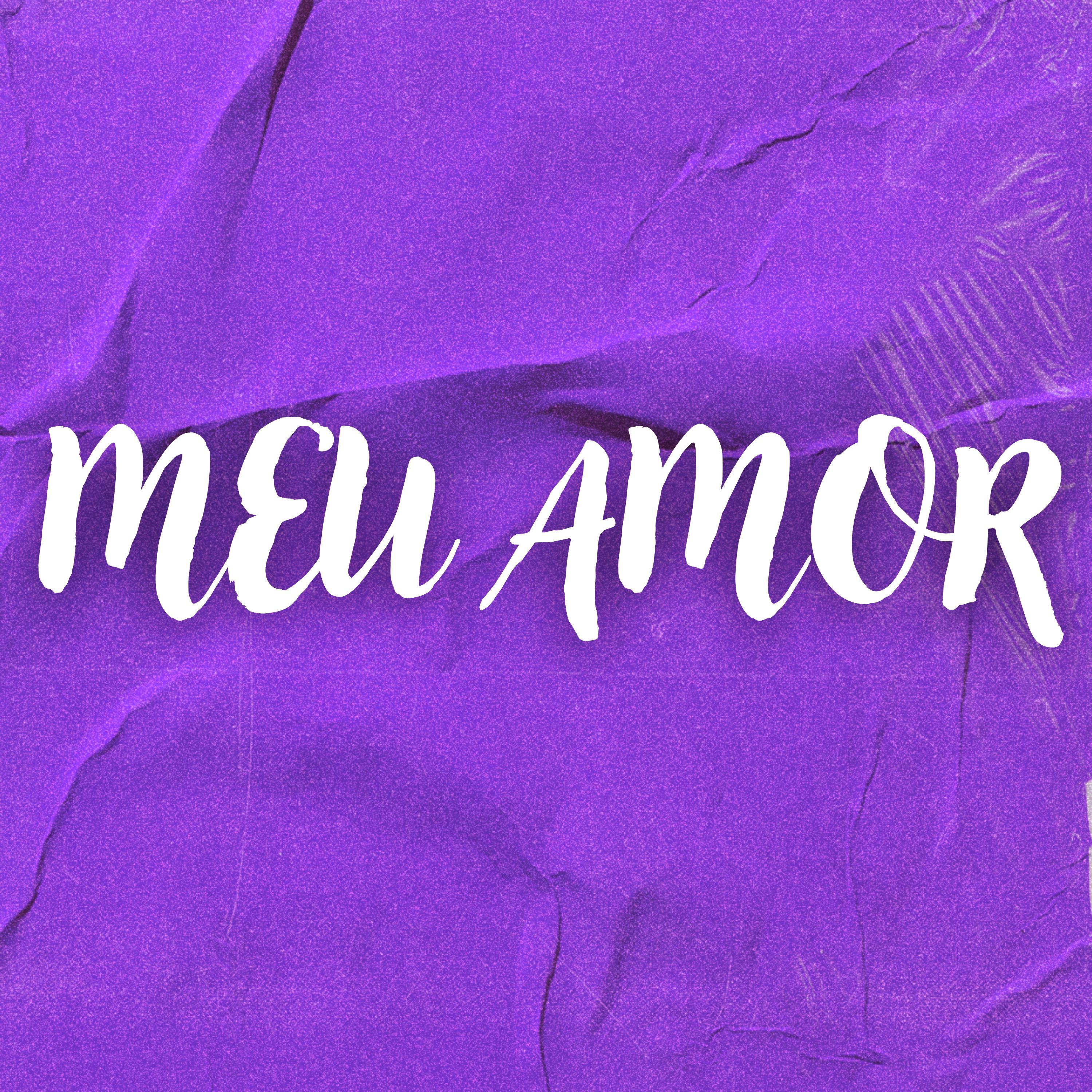 Постер альбома Meu Amor