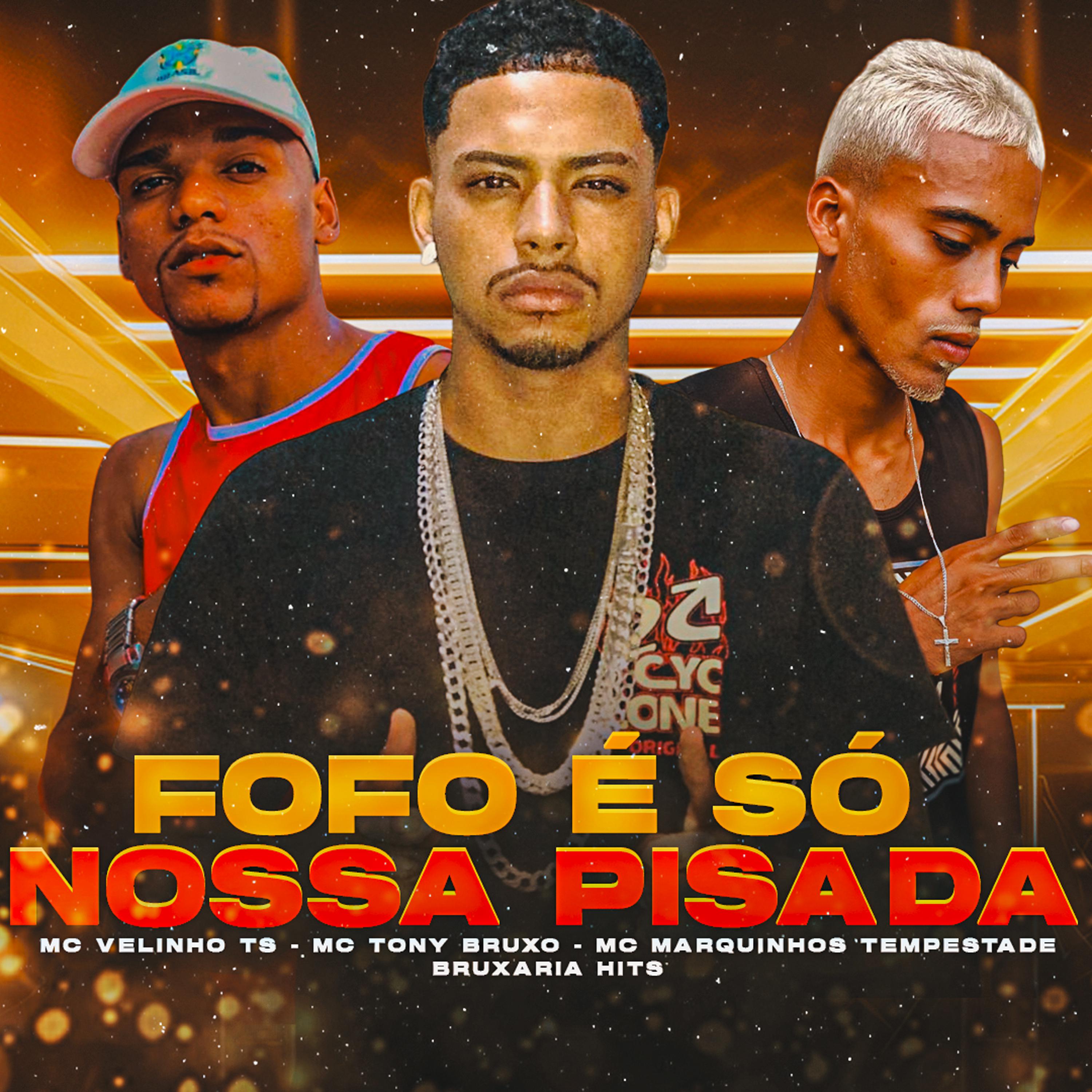 Постер альбома Fofo É Só Nossa Pisada