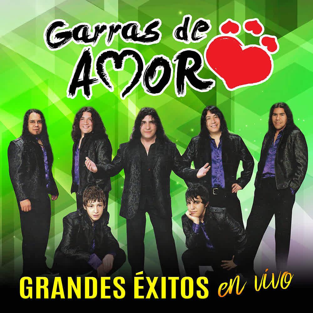 Постер альбома Grandes Éxitos (En Vivo)