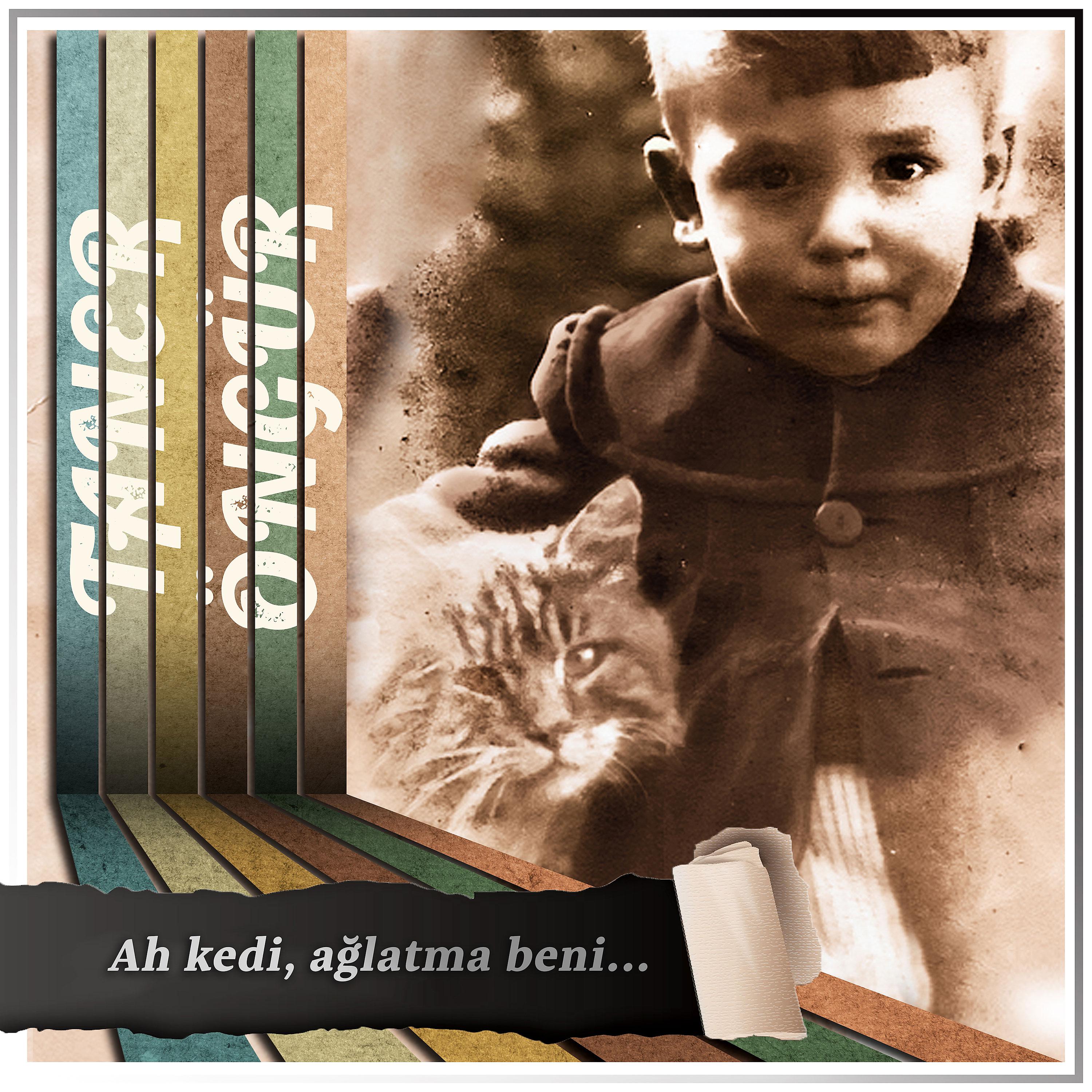 Постер альбома Ah Kedi, Ağlatma Beni