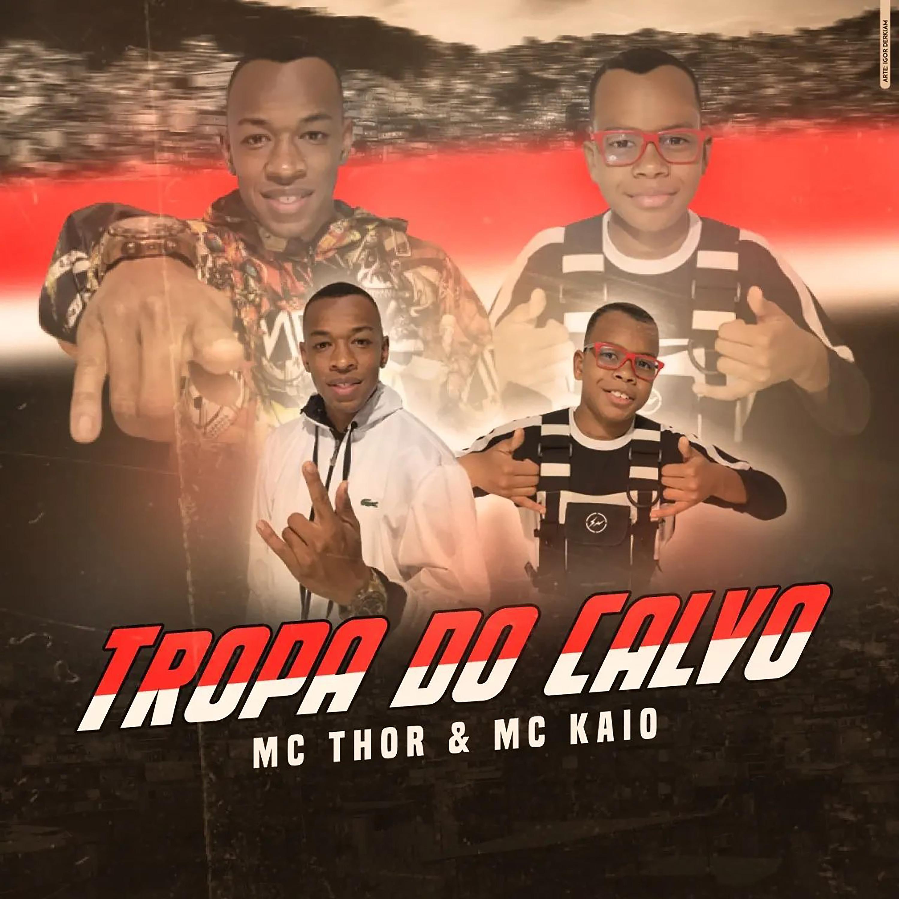 Постер альбома Tropa do Calvo