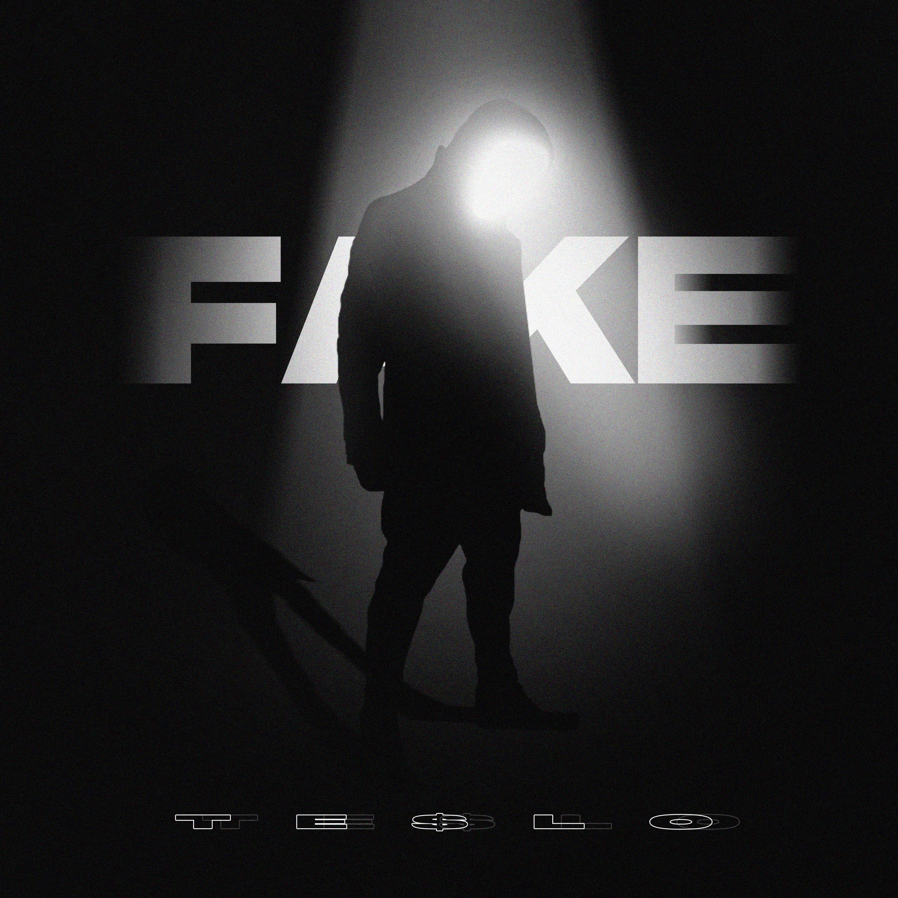 Постер альбома Fake
