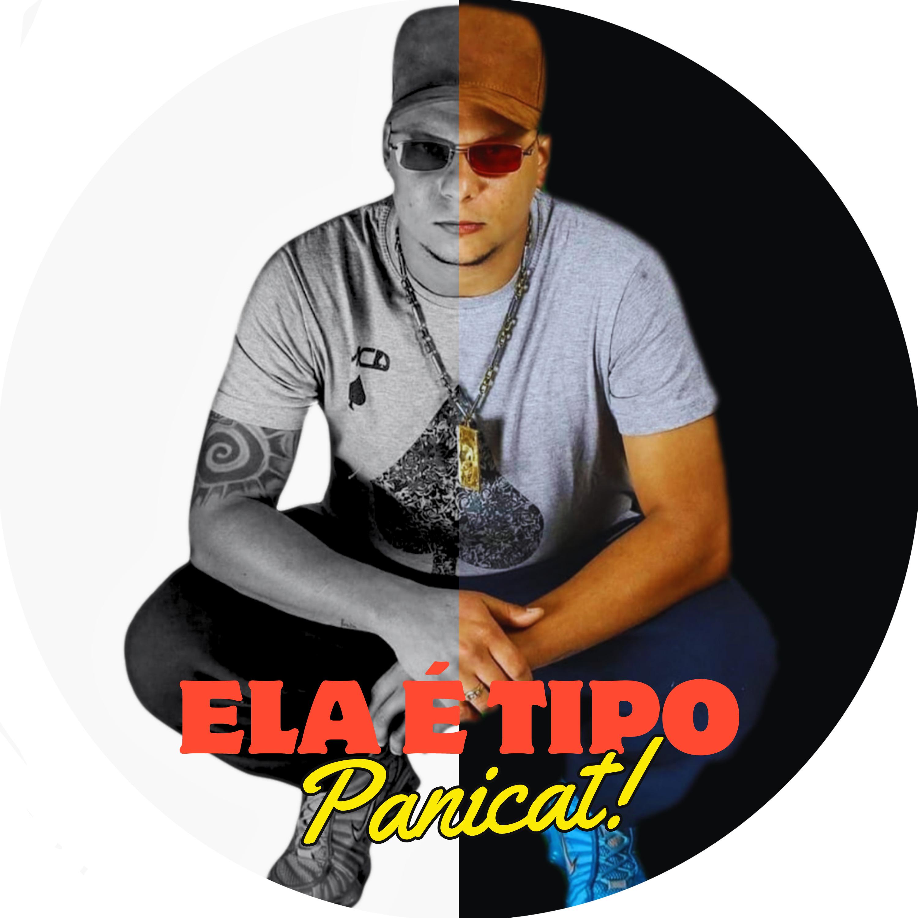 Постер альбома Ela É Tipo Panicat