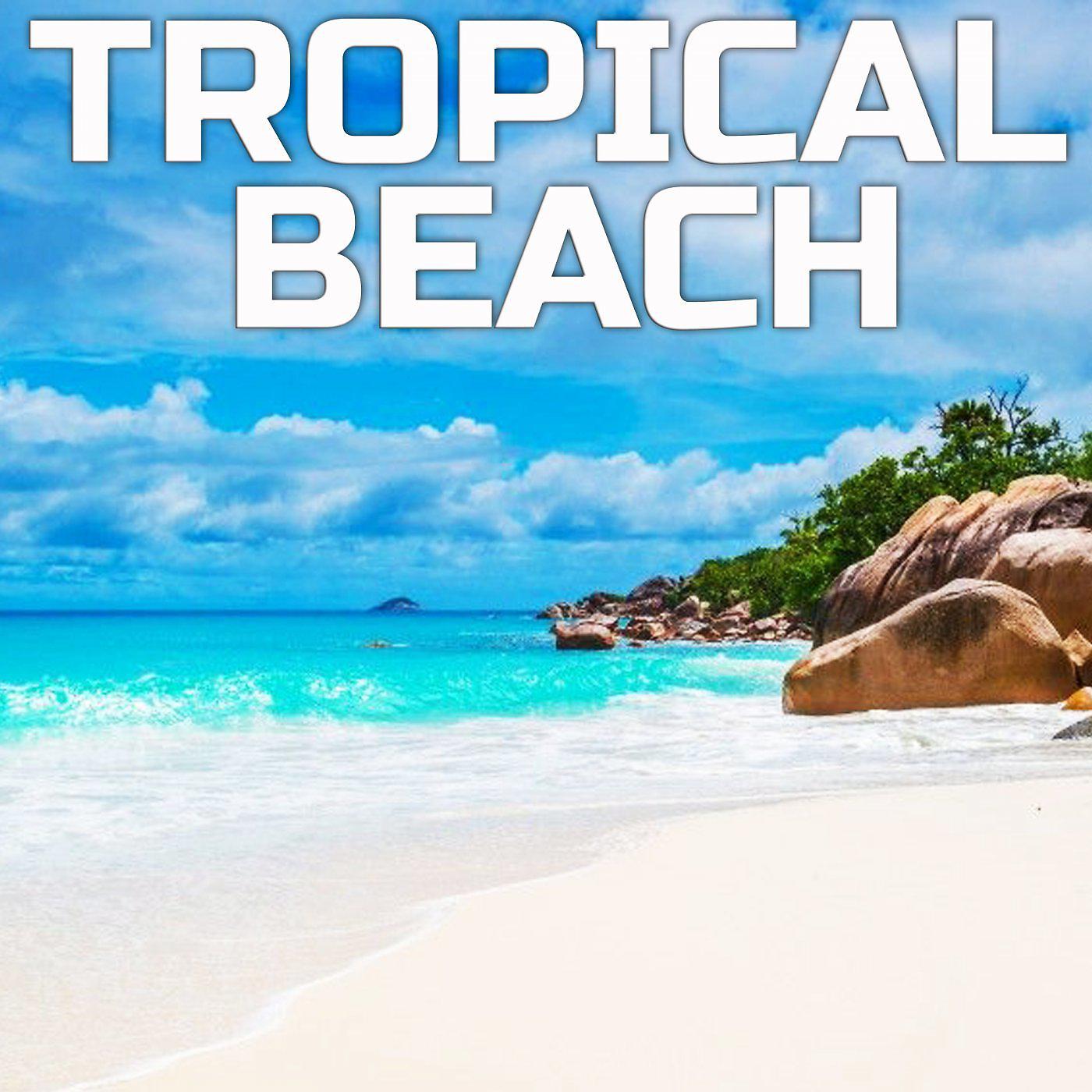 Постер альбома Tropical Beach