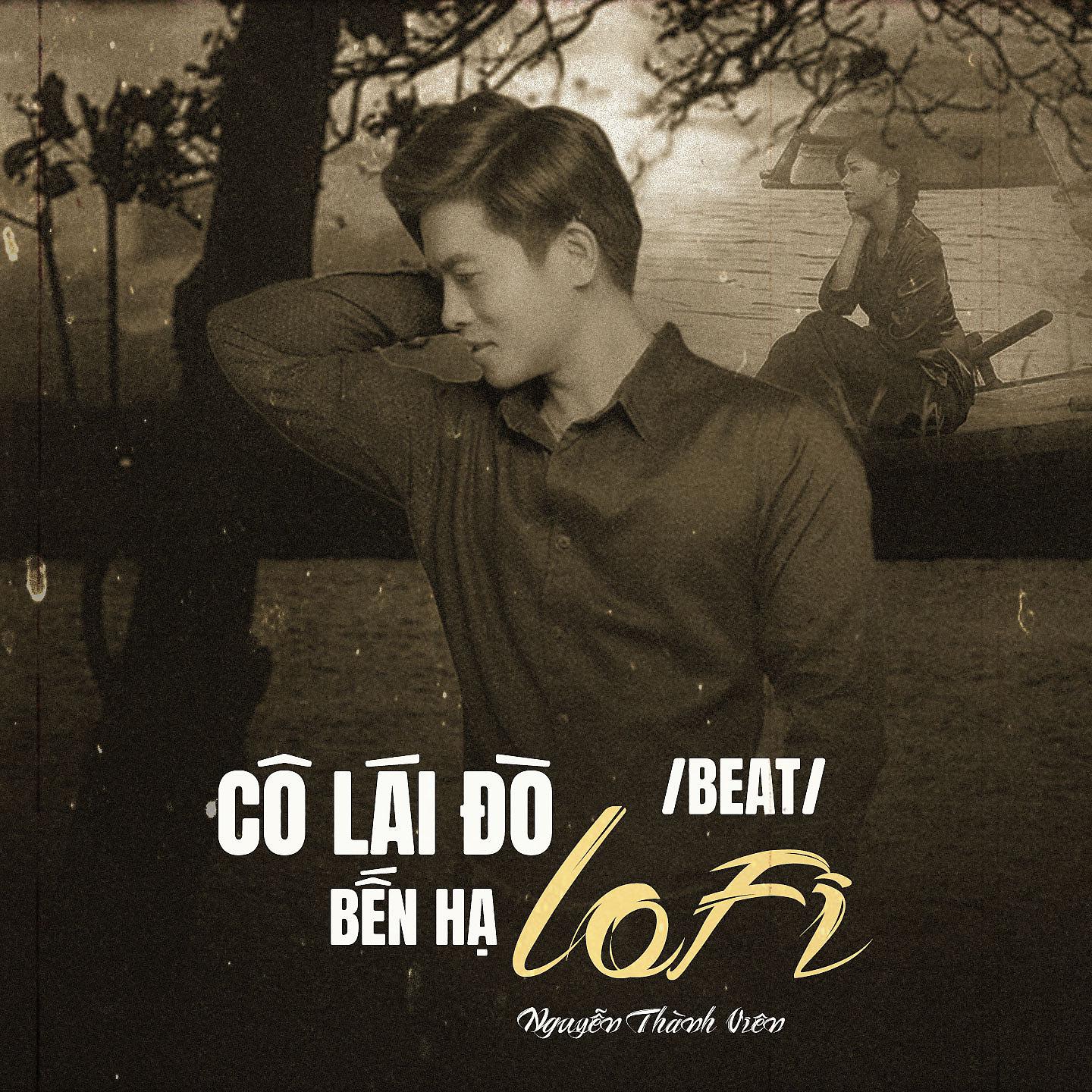 Постер альбома Cô Lái Đò Bến Hạ
