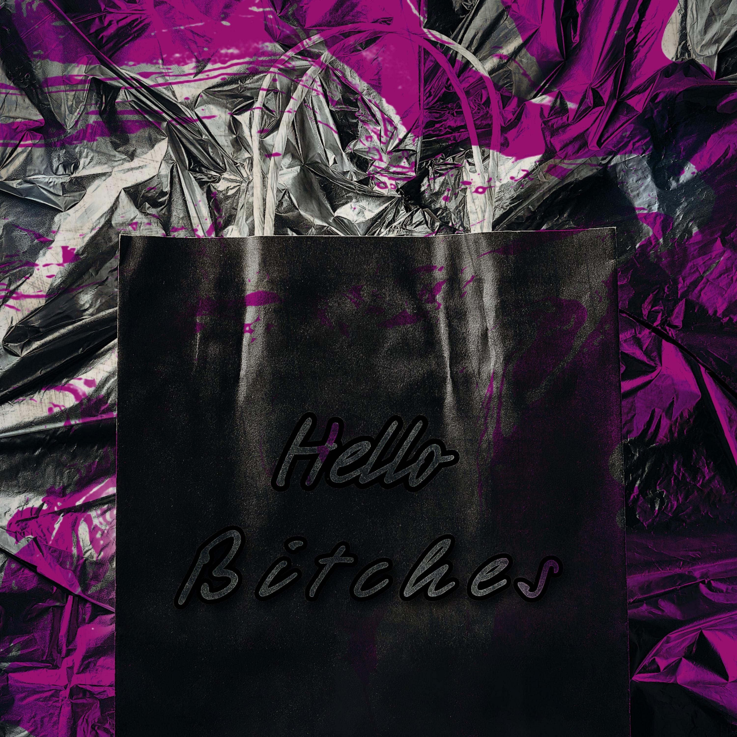 Постер альбома Hello Bitches