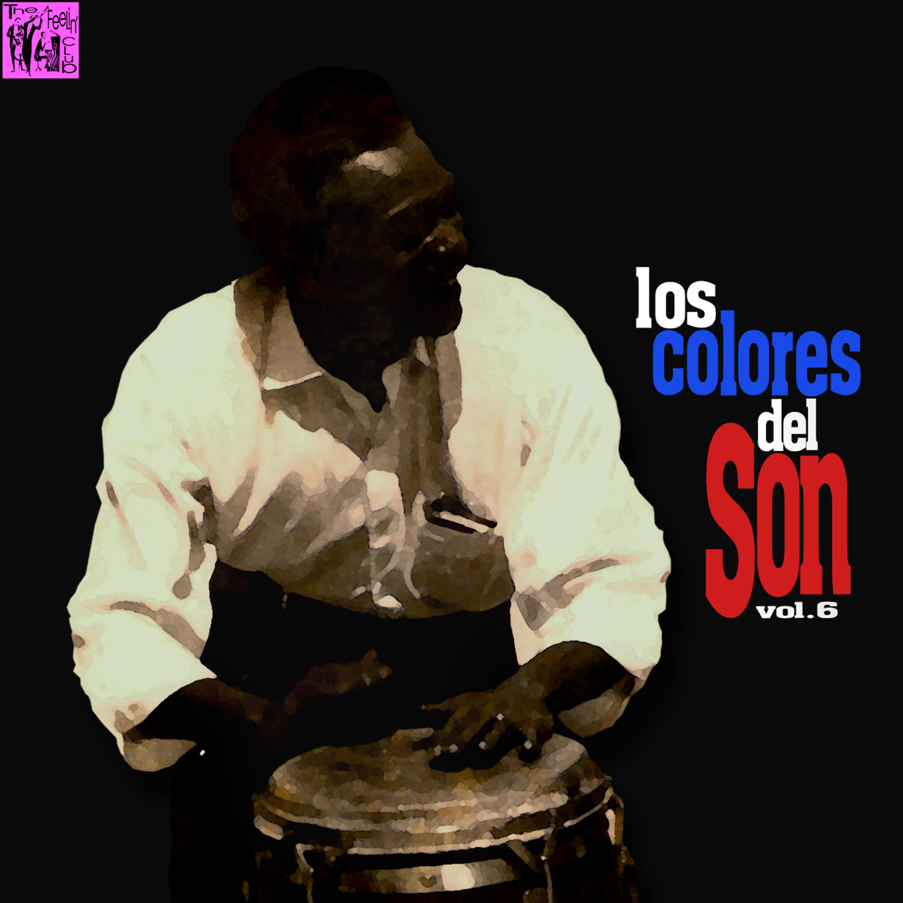 Постер альбома Los Colores del Son, Vol.6