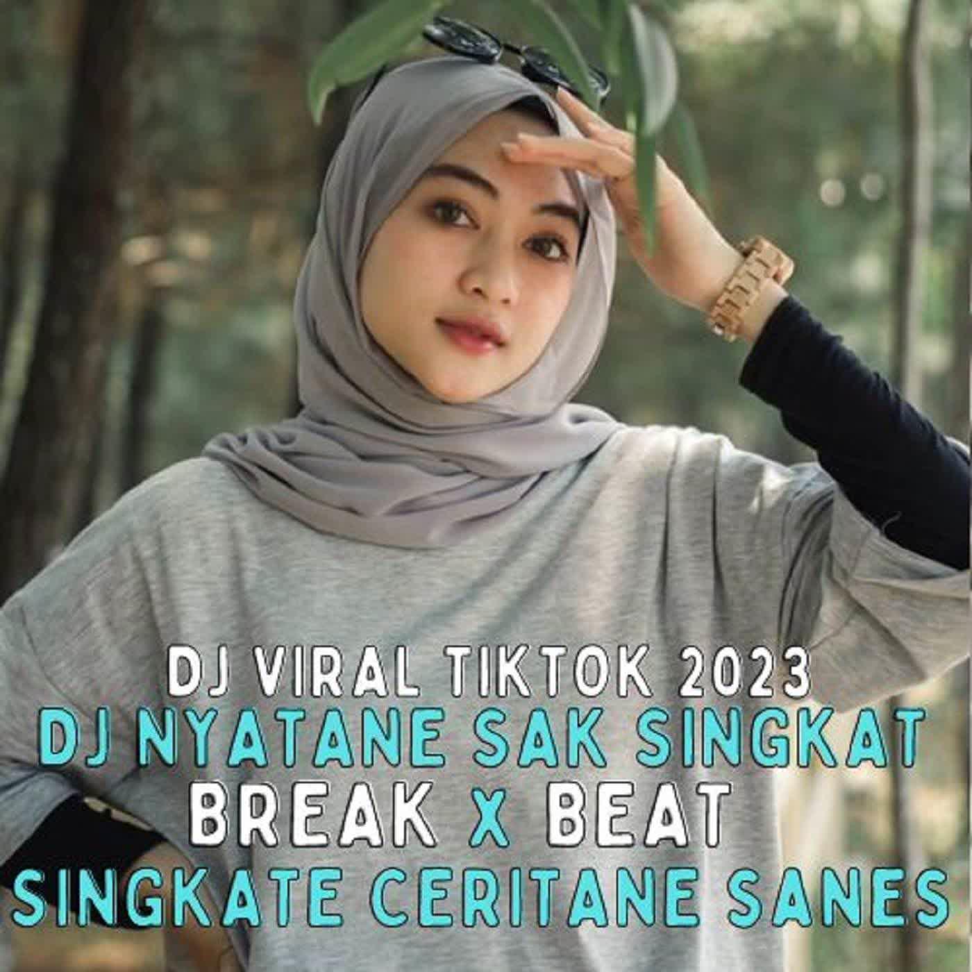 Постер альбома DJ NYATANE SAK SINGKAT SINGKATE CERITANE FULLBASS KANEE