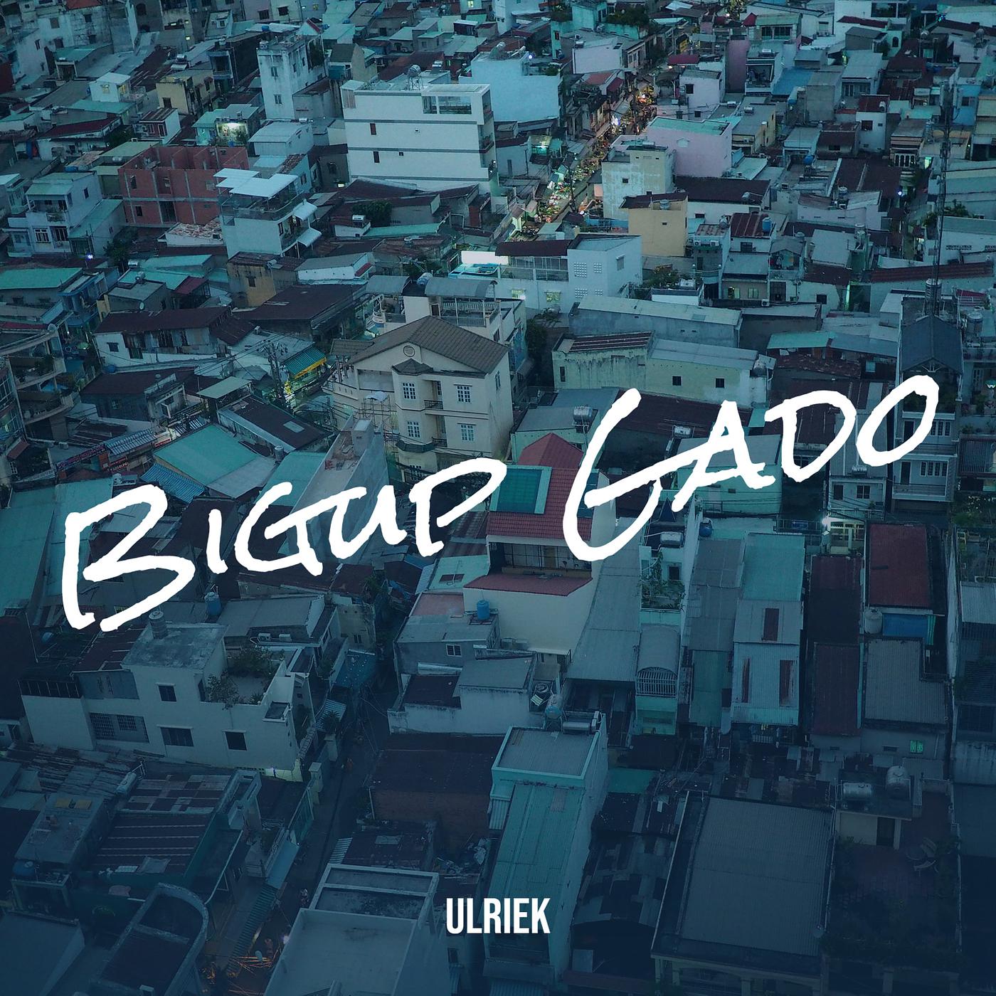 Постер альбома Bigup Gado