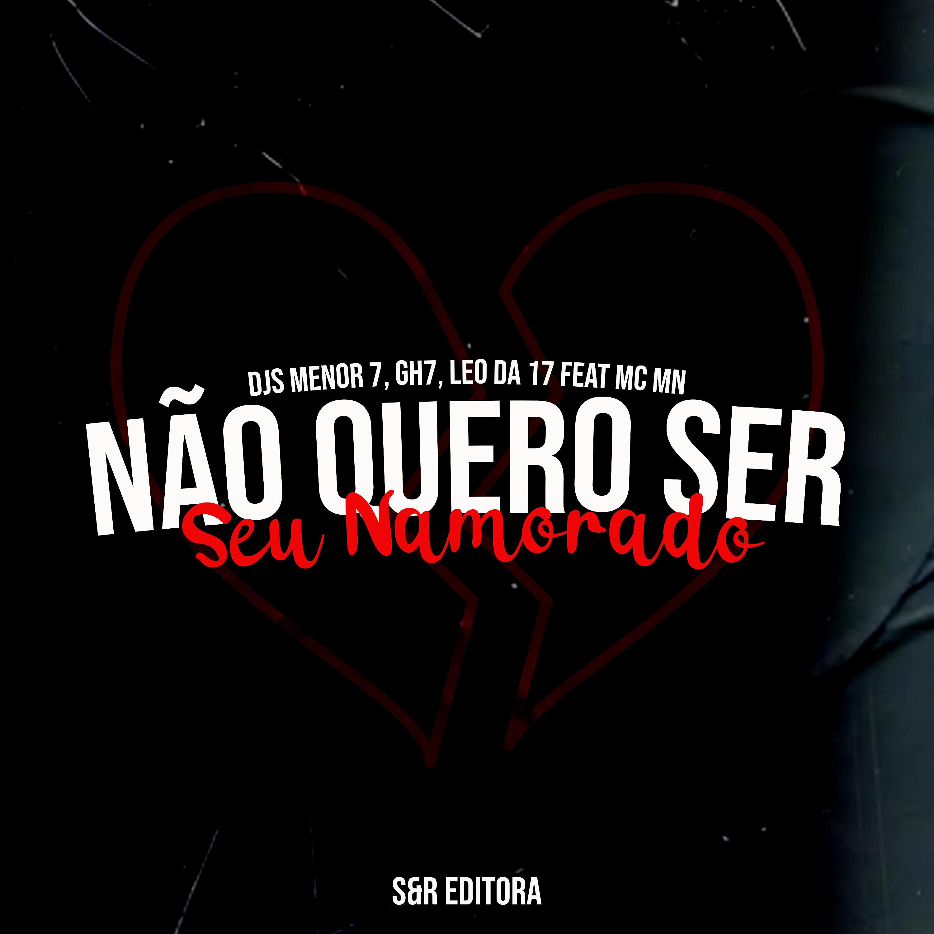 Постер альбома Não Quero Ser Seu Namorado