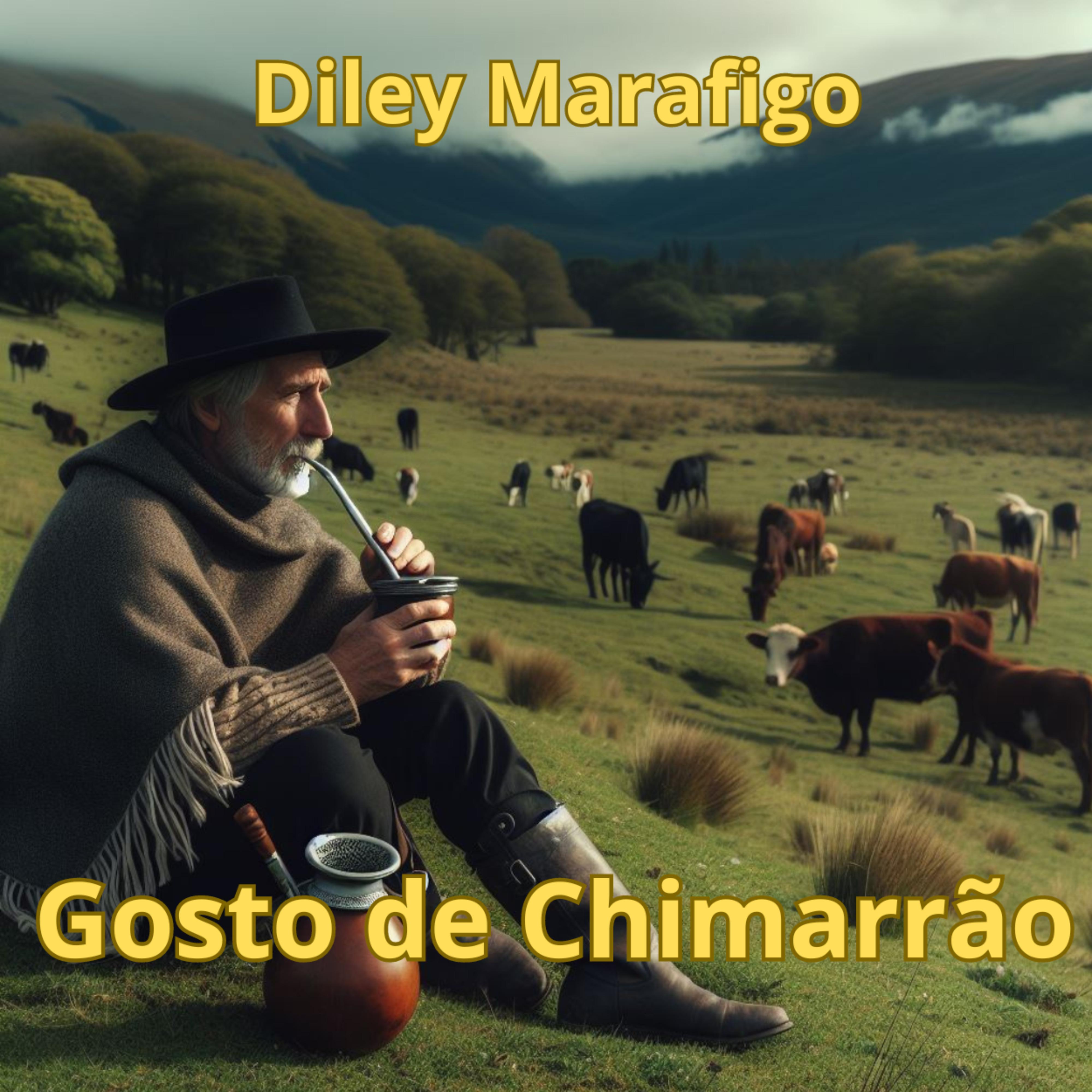 Постер альбома Gosto de Chimarrão