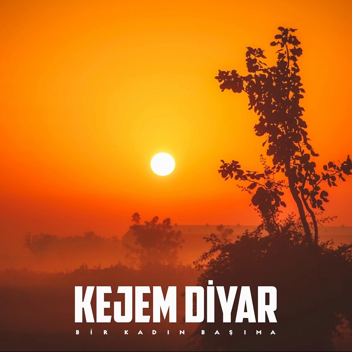Постер альбома Bir Kadın Başıma
