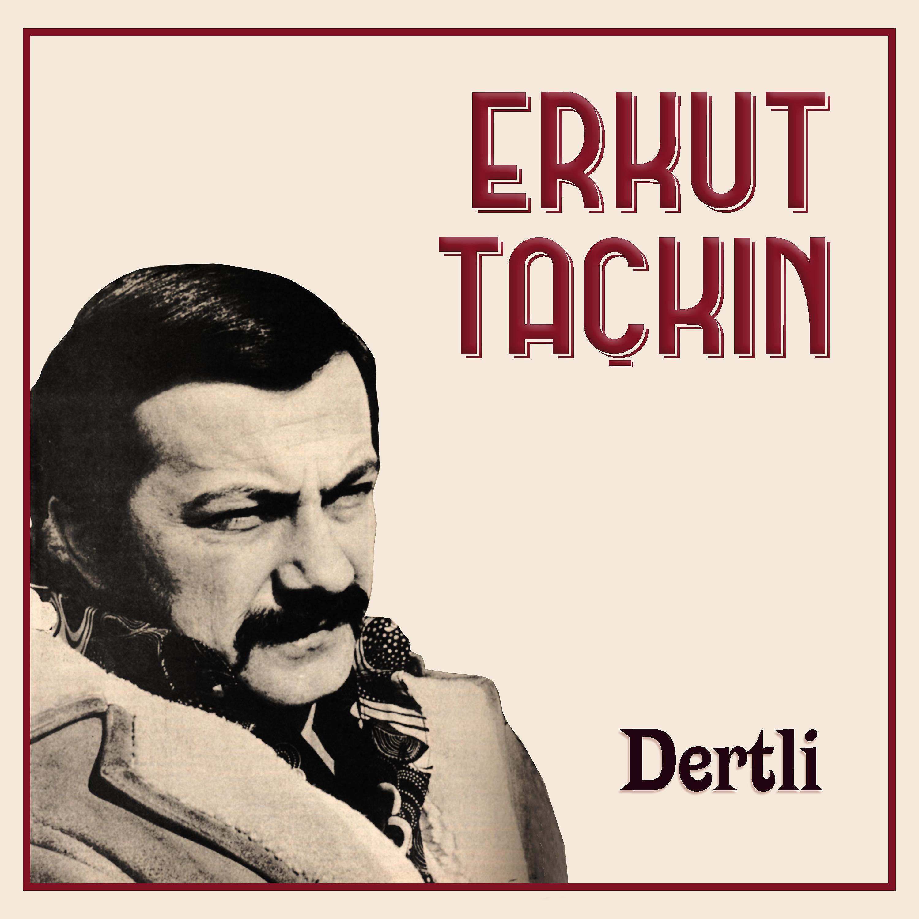 Постер альбома Dertli