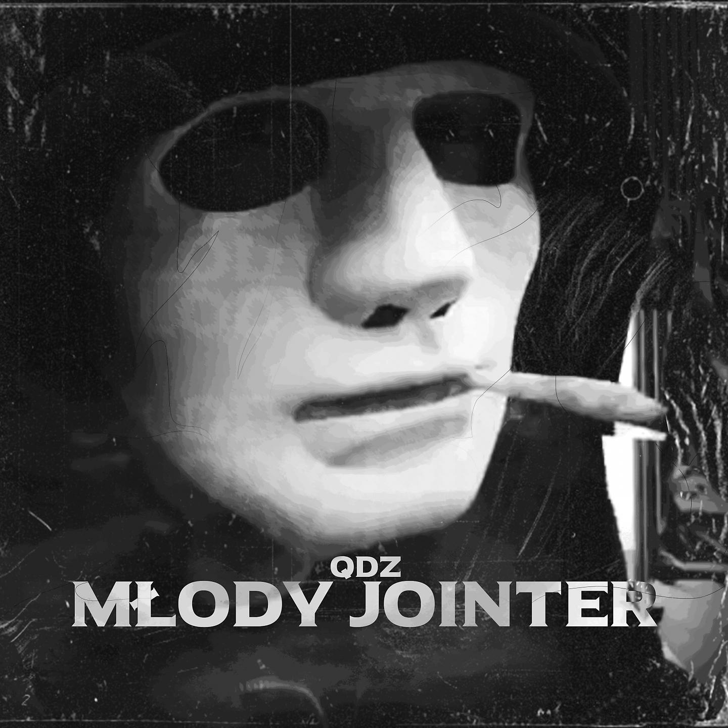 Постер альбома Młody Jointer