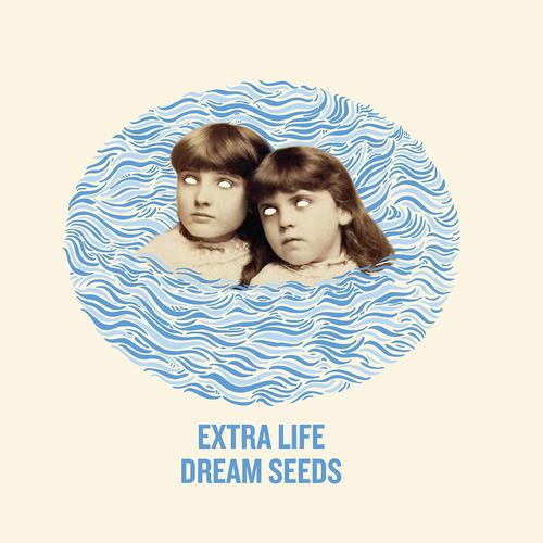 Постер альбома Dream Seeds