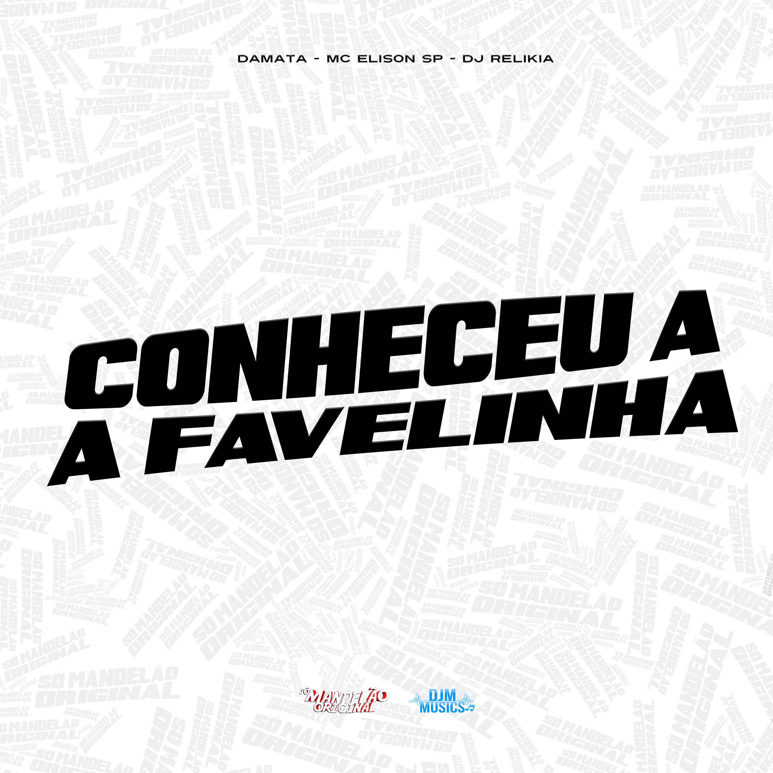 Постер альбома Conheceu a Favelinha