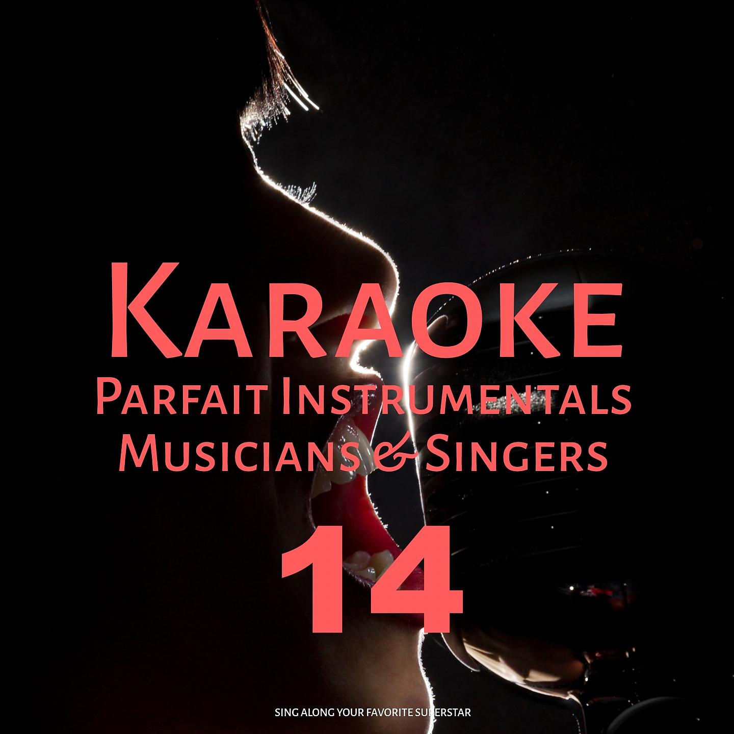 Постер альбома Karaoke Parfait Instrumentals Musicians & Singers, Vol. 14
