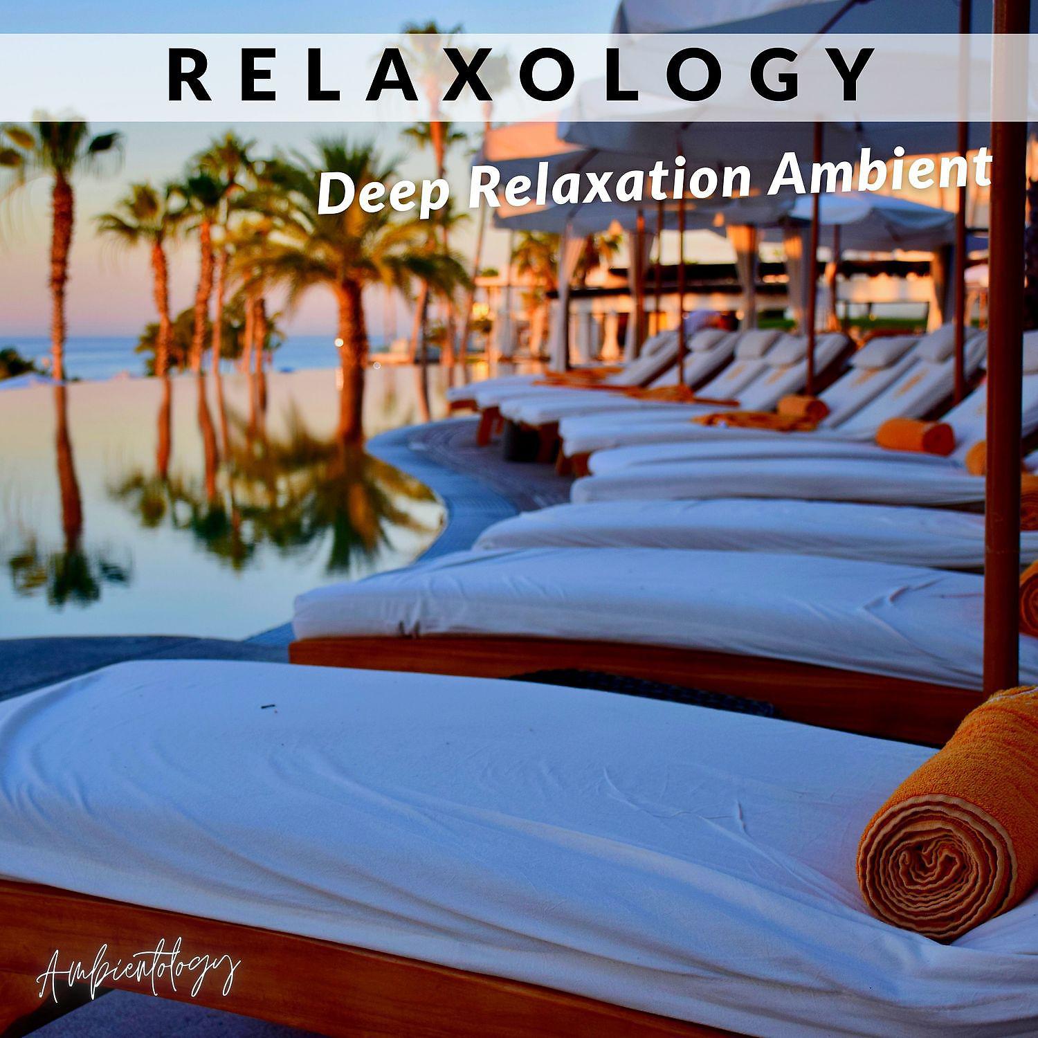 Постер альбома Relaxology - Deep Relaxation Ambient Beats