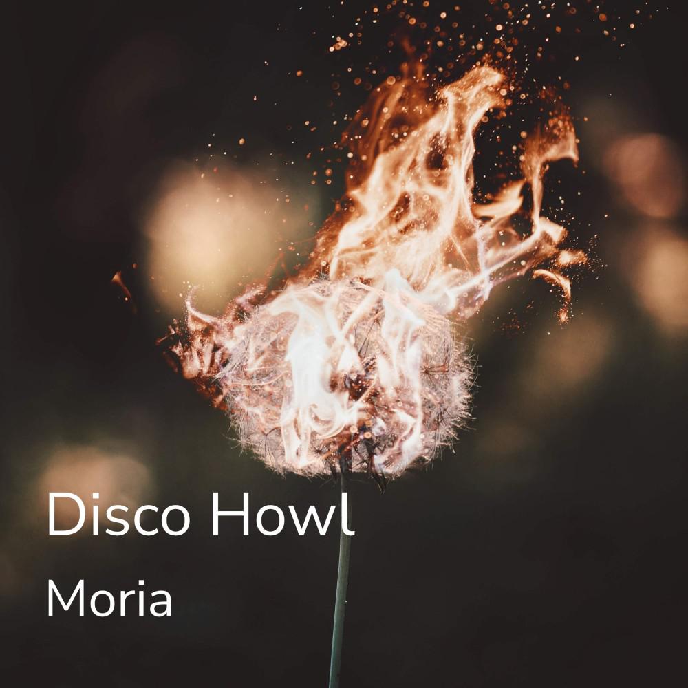 Постер альбома Disco Howl