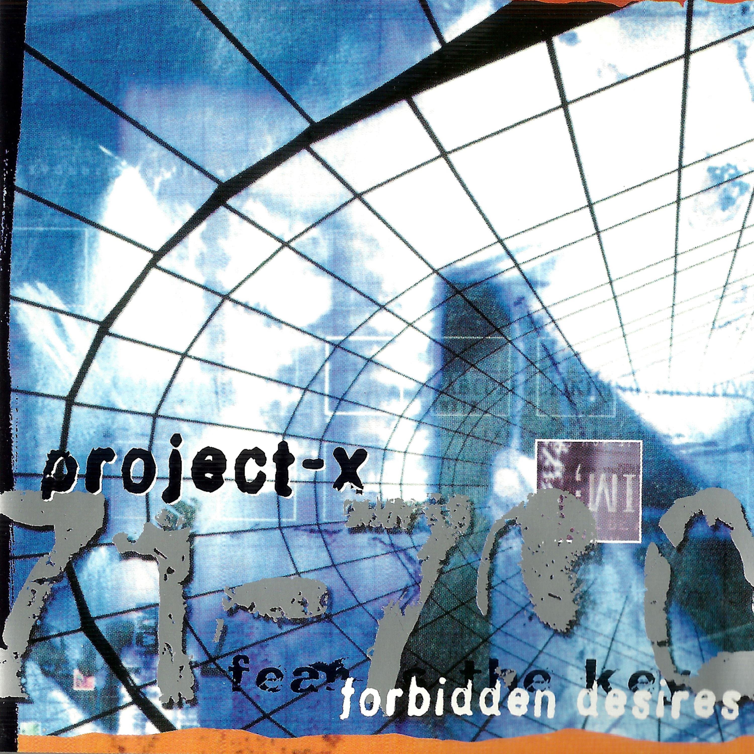 Постер альбома Forbidden Desires (North American Edition)