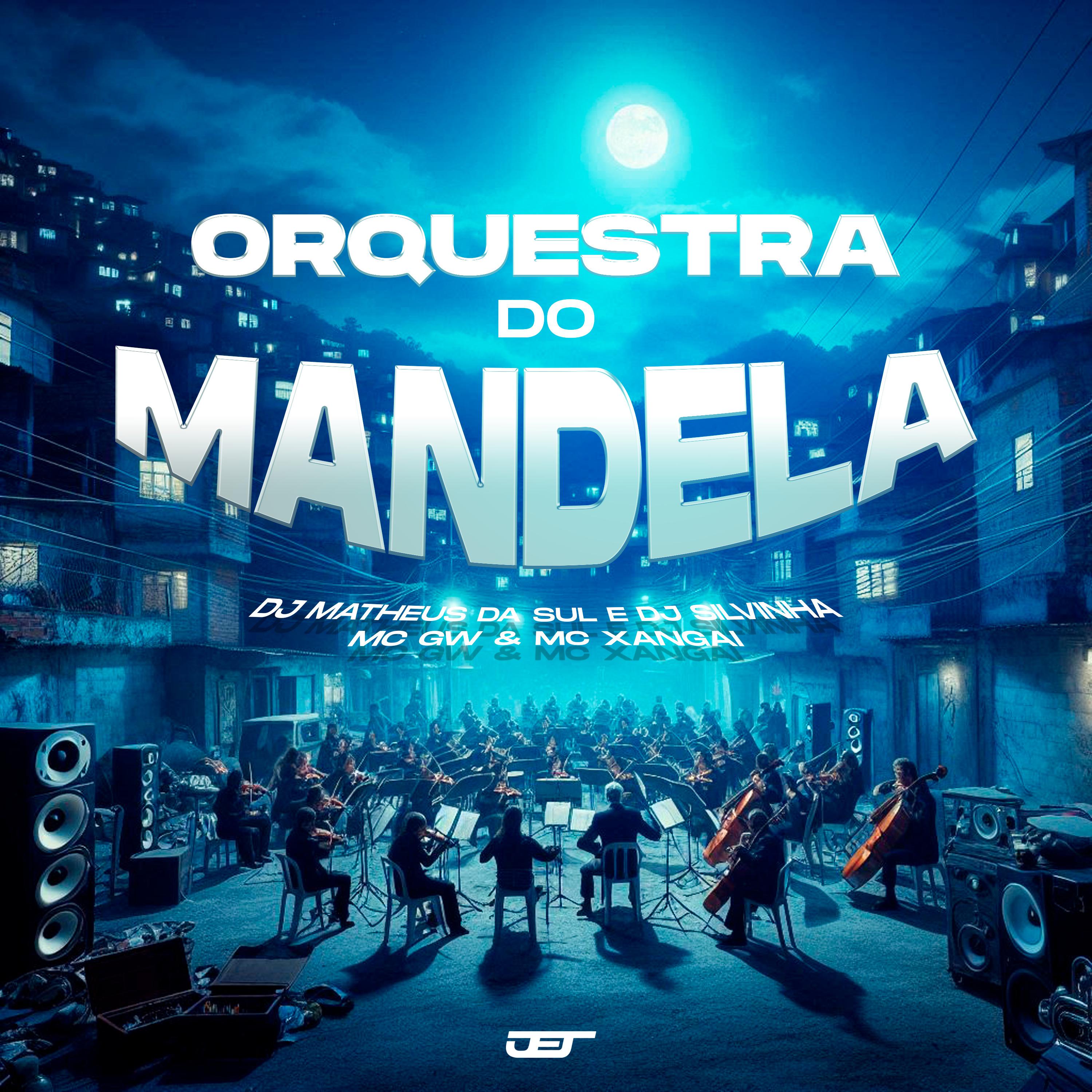 Постер альбома Orquestra do Mandela
