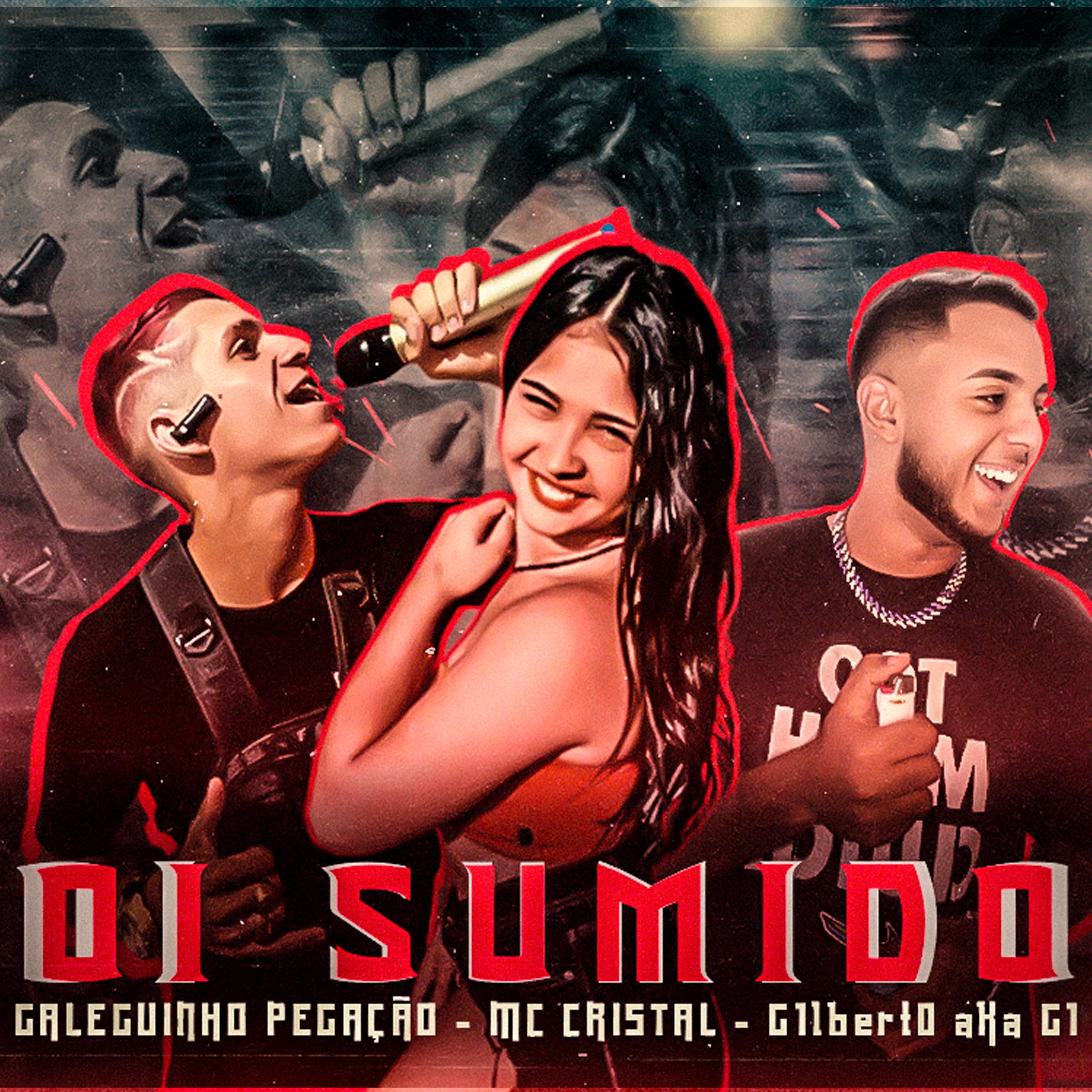 Постер альбома Oi Sumido