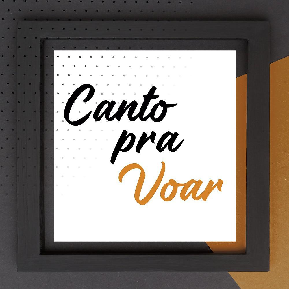 Постер альбома Canto Pra Voar