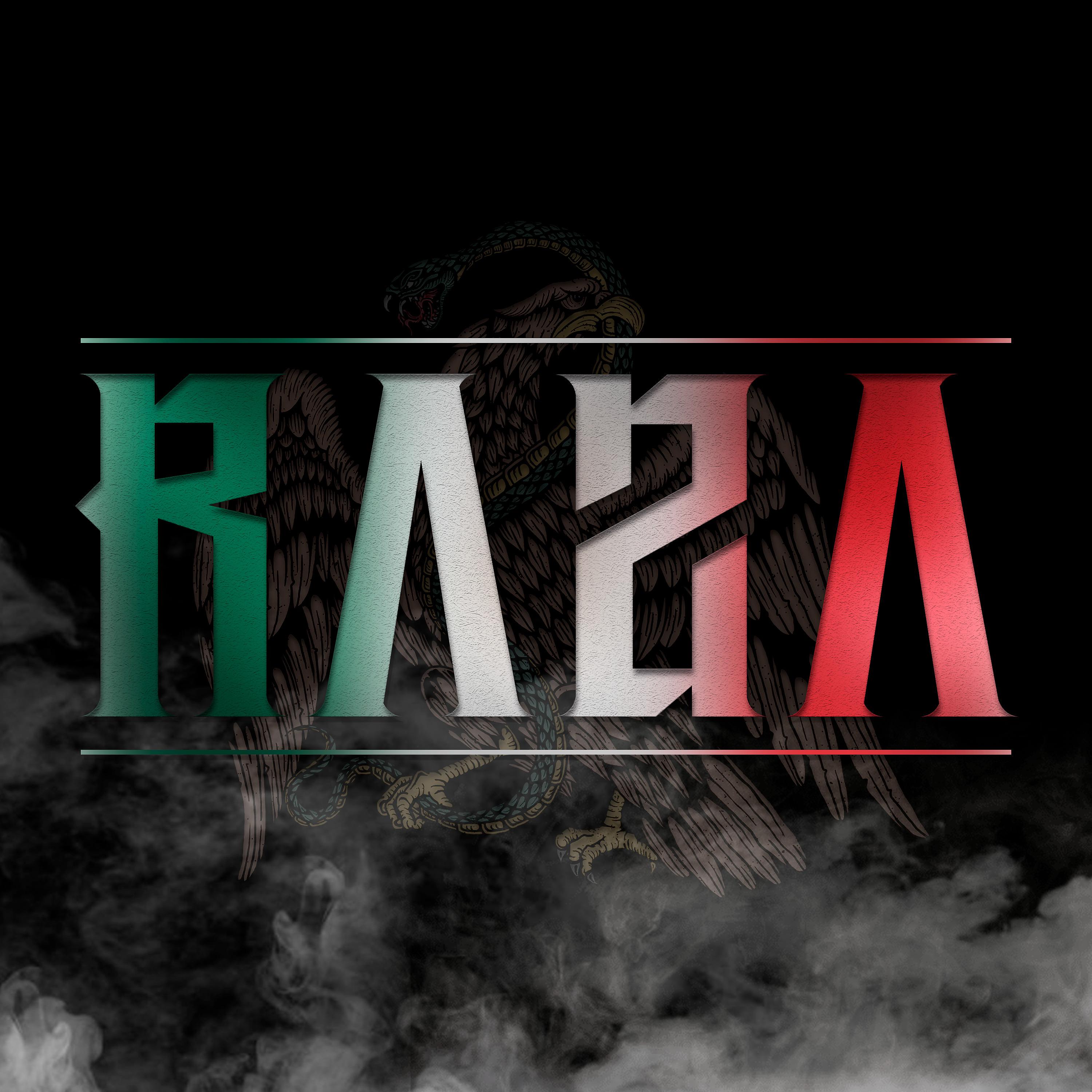 Постер альбома Raza