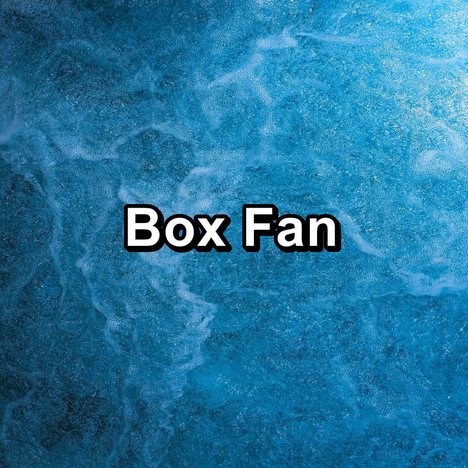 Постер альбома Box Fan