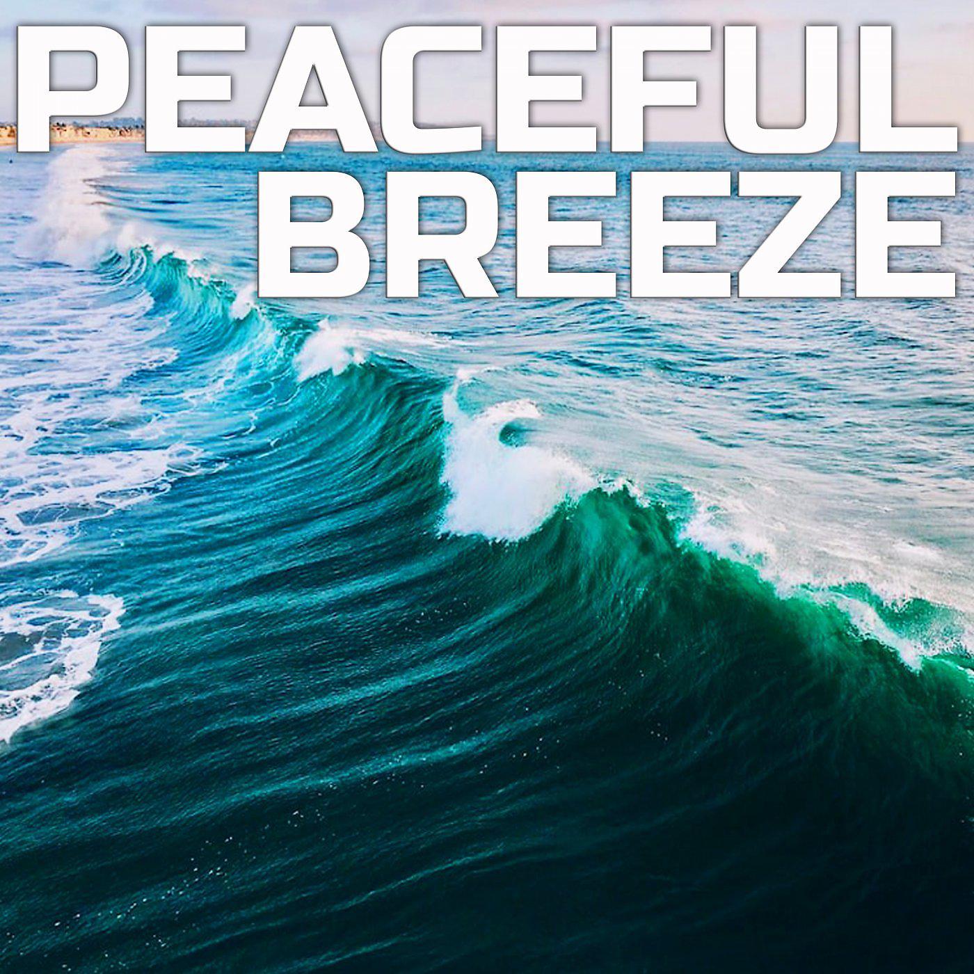 Постер альбома Peaceful Breeze