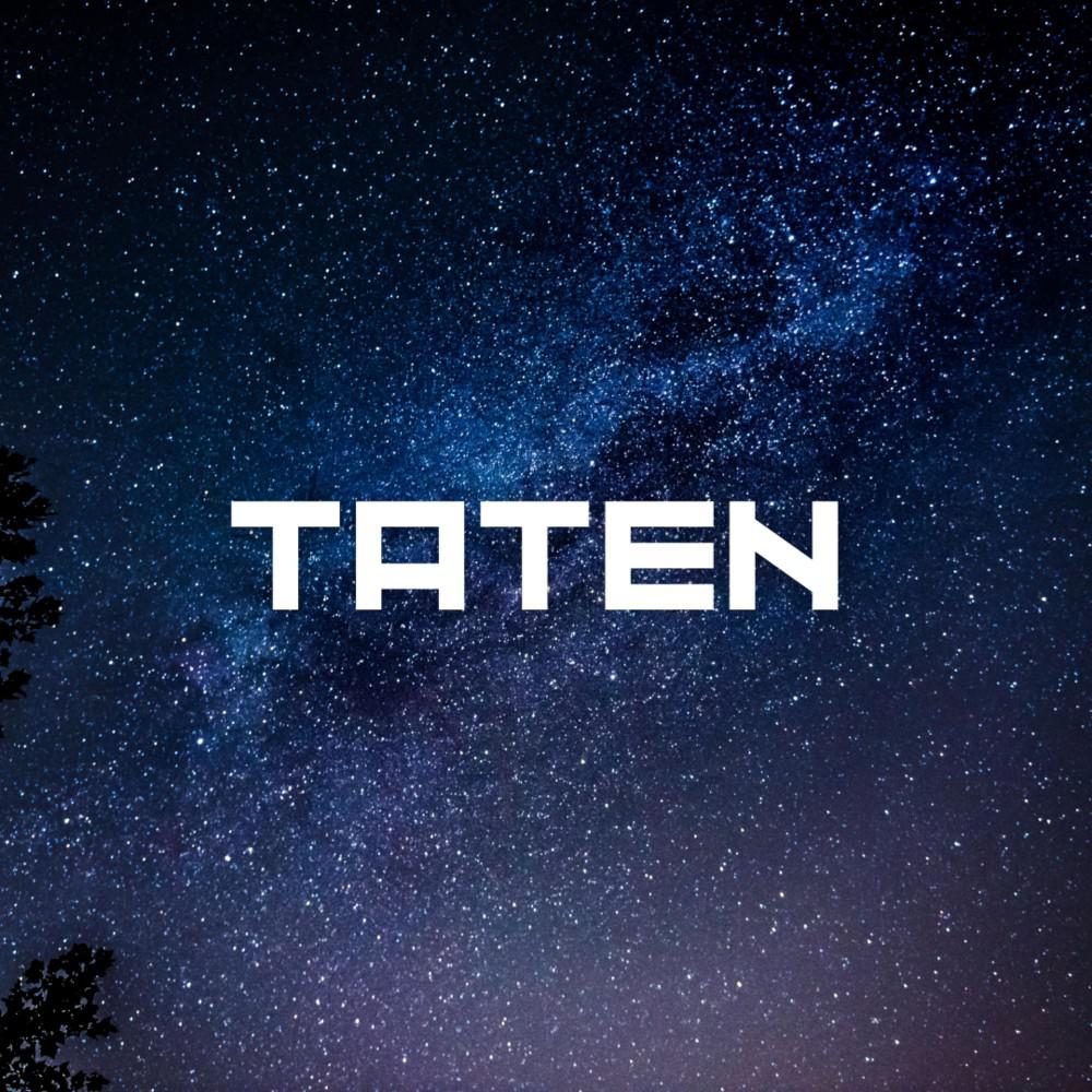 Постер альбома Taten (Pastiche/Remix/Mashup)