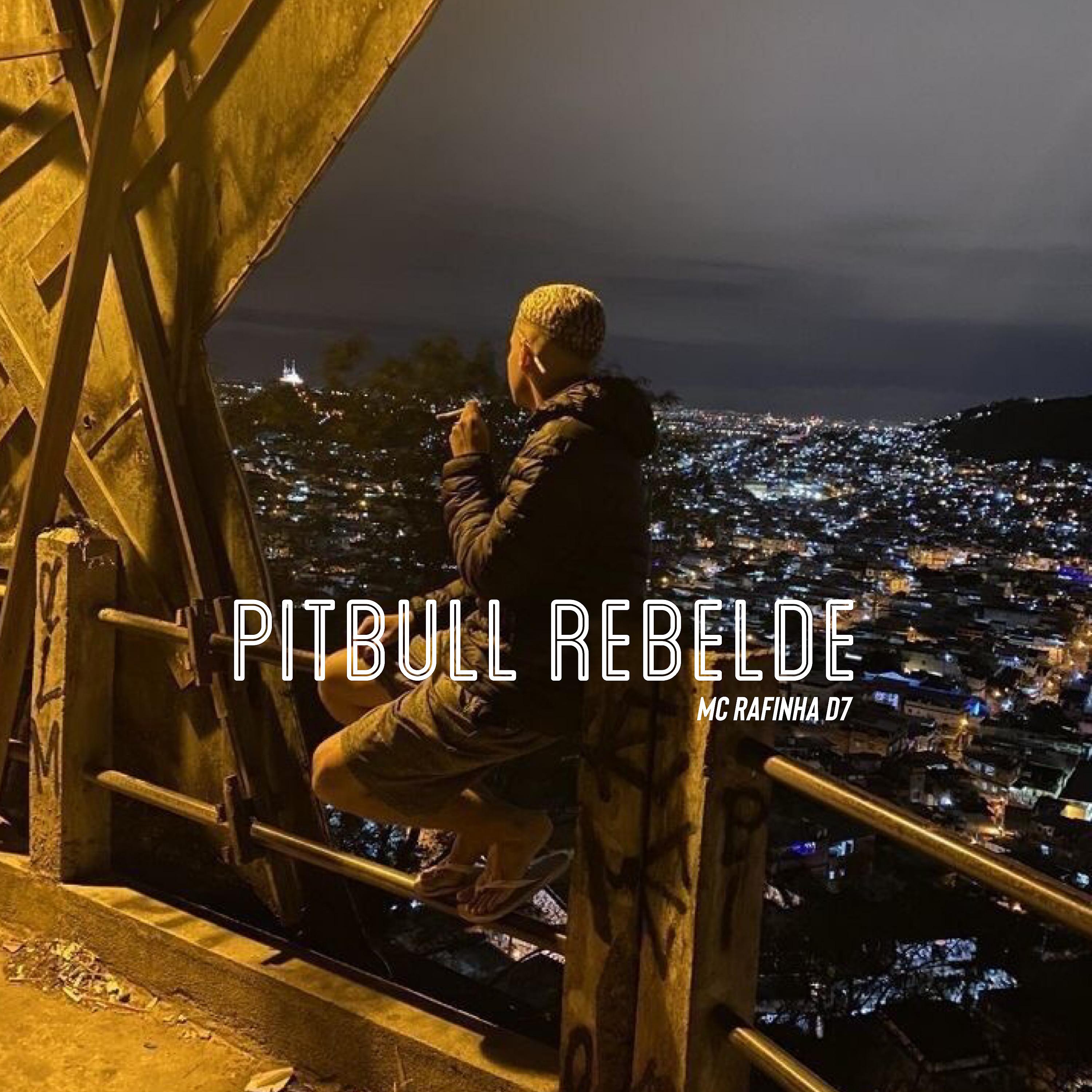Постер альбома Pitbull Rebelde